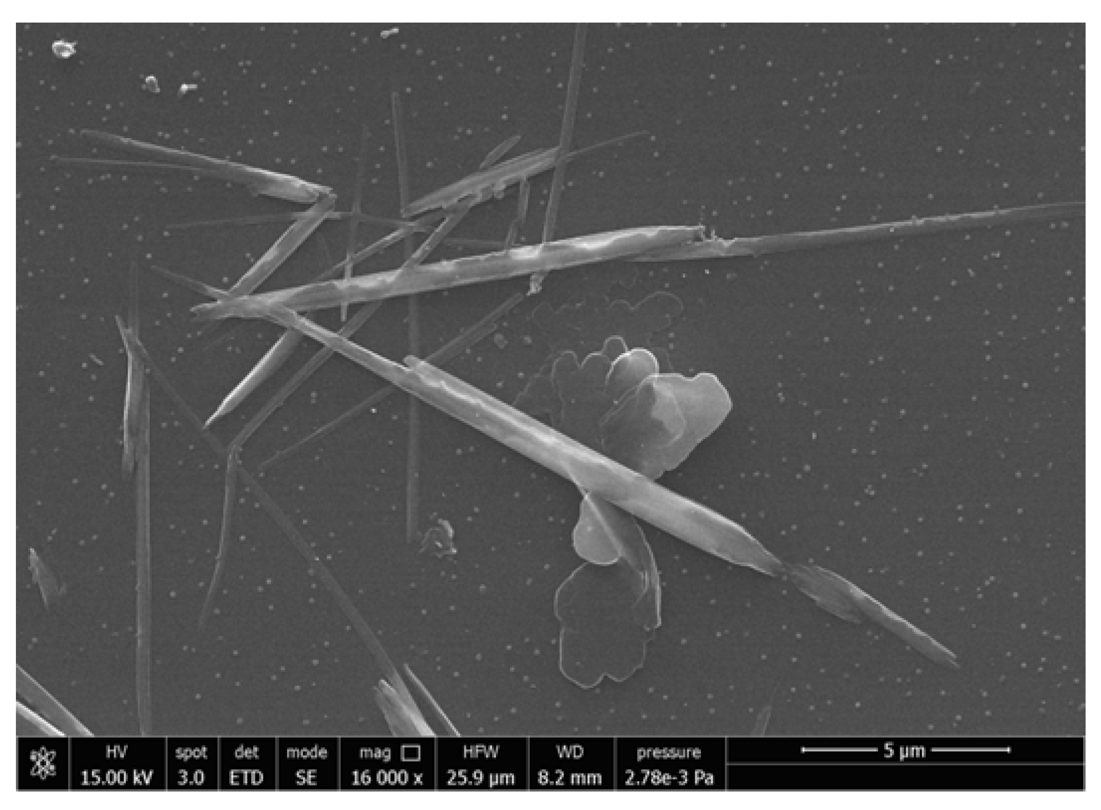 Jfb 11 00021 g001 Jfb 11 00021 g001