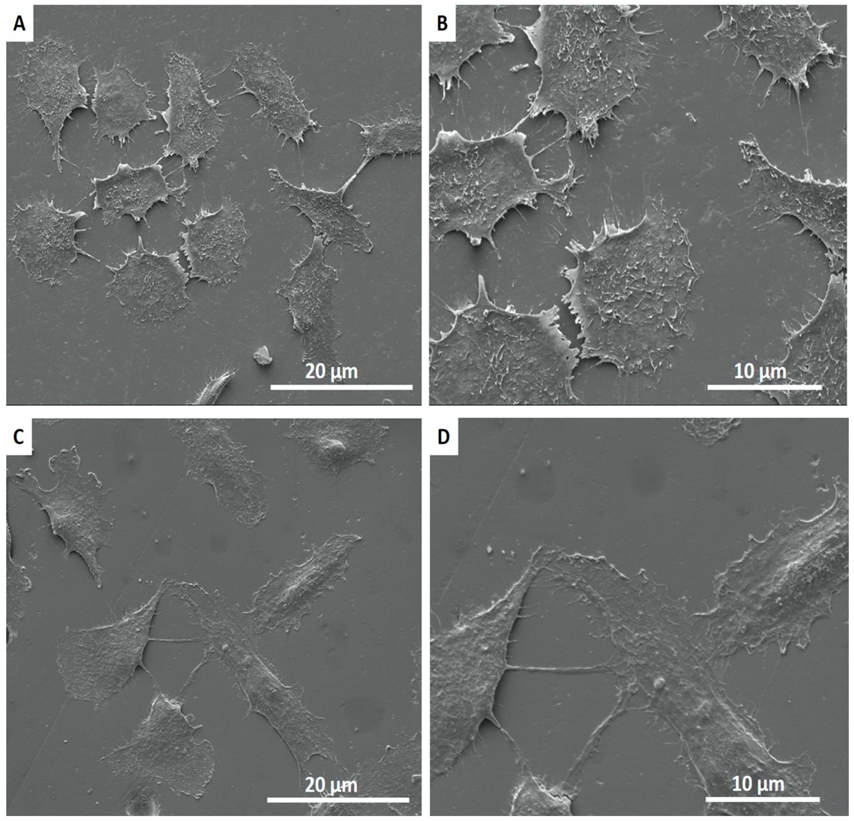 Jfb 11 00033 g008 Jfb 11 00033 g008