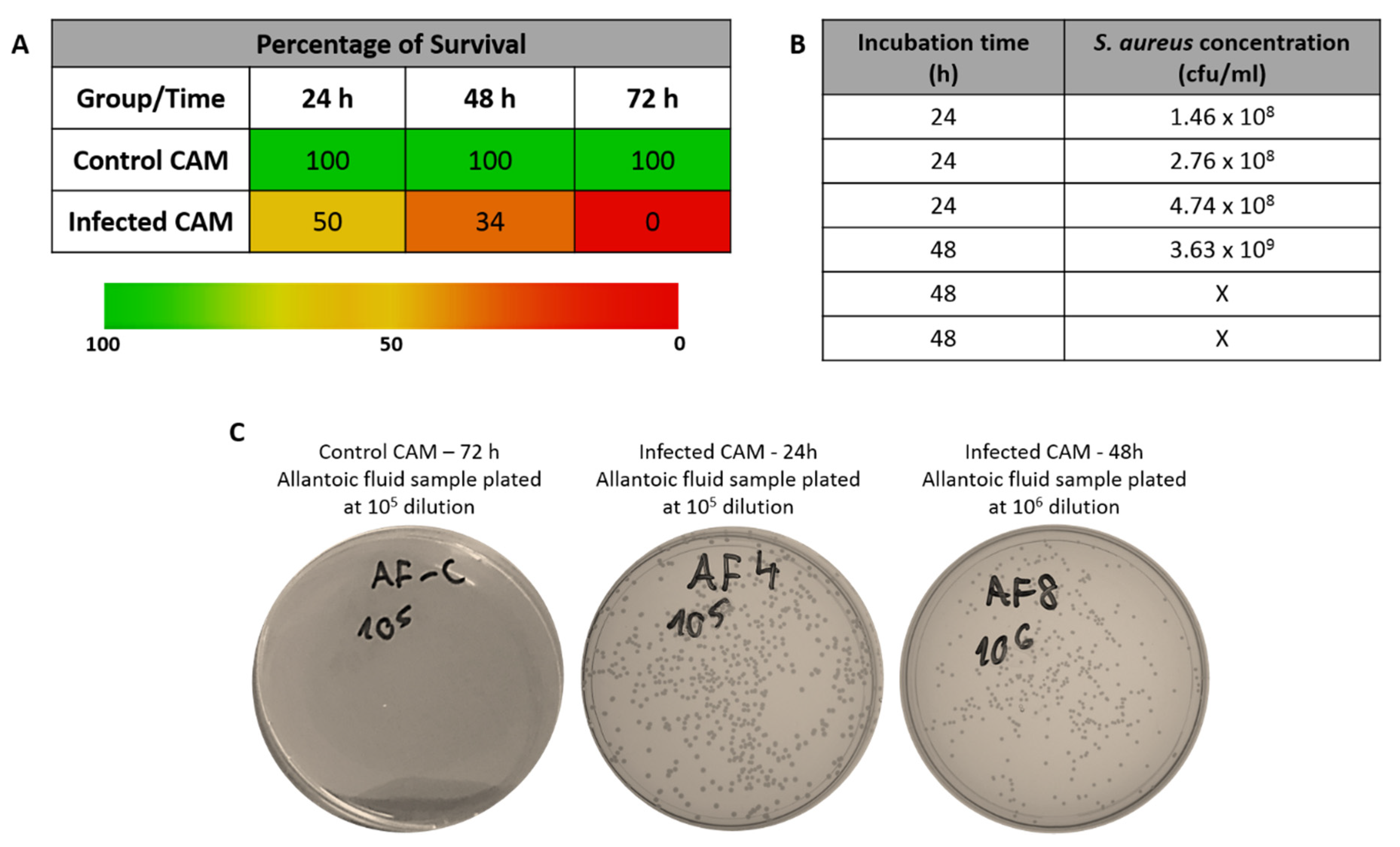 Jfb 11 00037 g003 Jfb 11 00037 g003