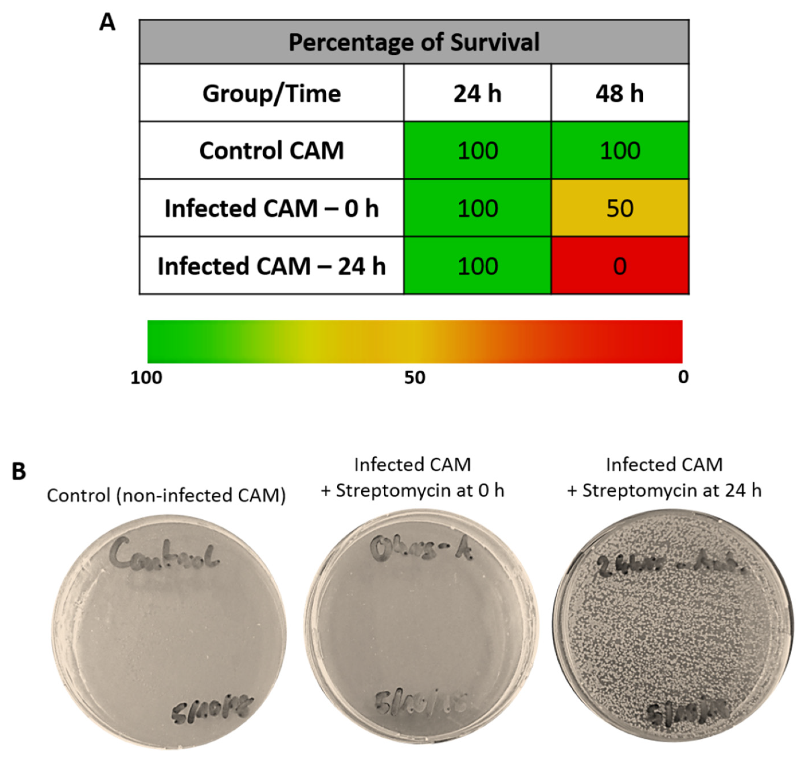 Jfb 11 00037 g004 Jfb 11 00037 g004