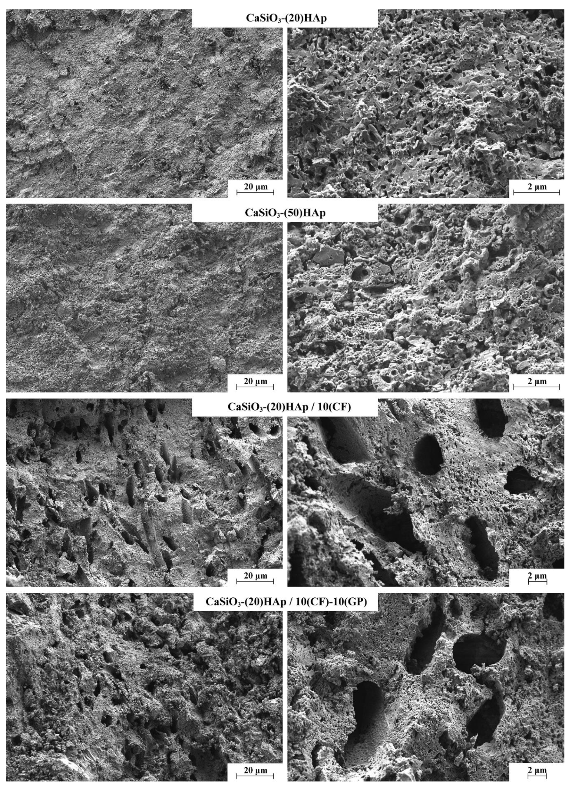 Jfb 11 00041 g008 550