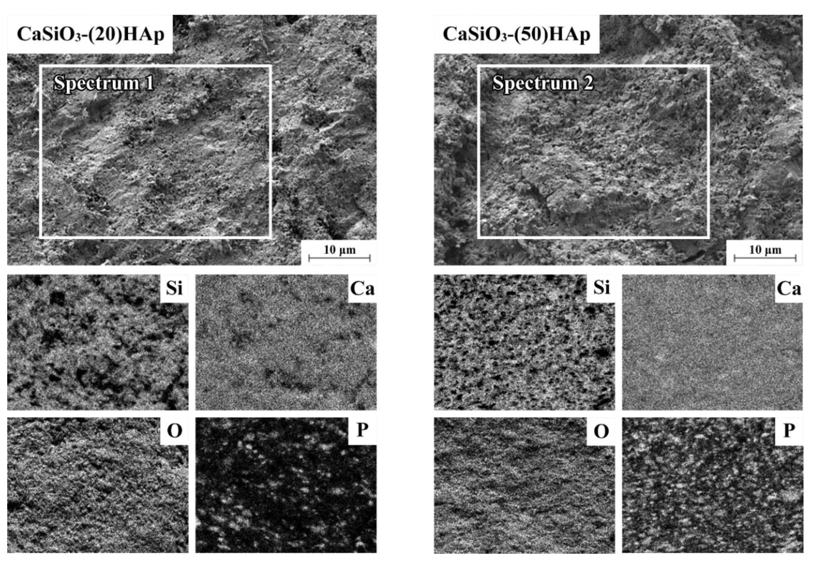 Jfb 11 00041 g009 550