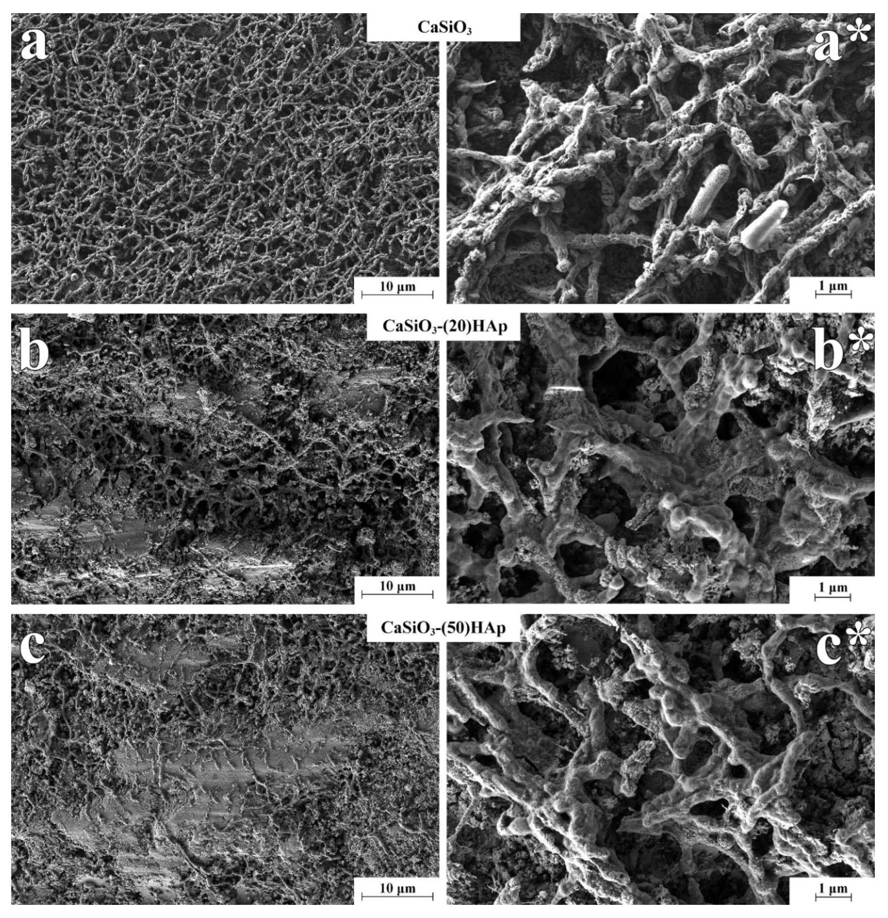 Jfb 11 00041 g010 550