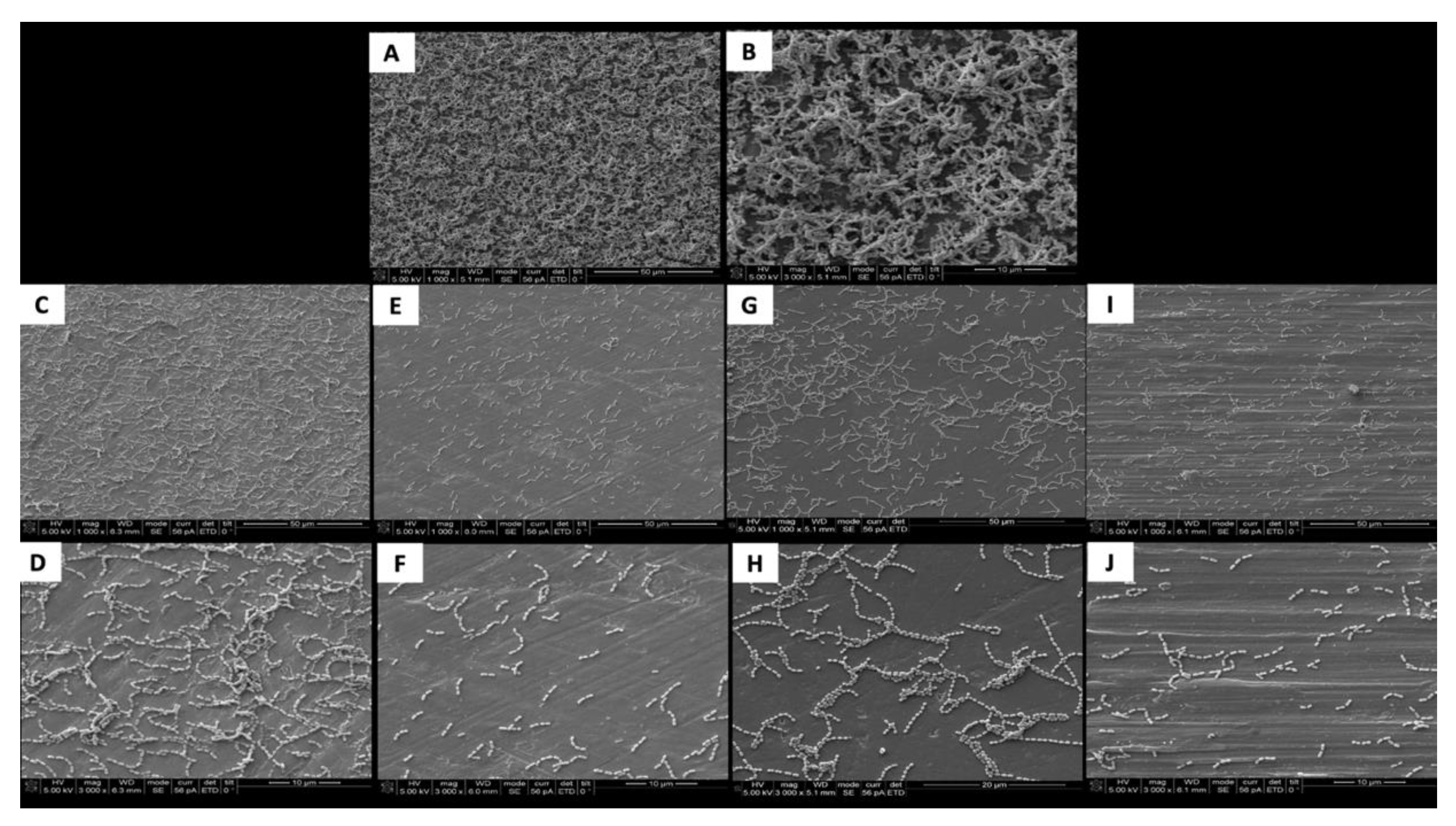 Jfb 11 00042 g002 Jfb 11 00042 g002