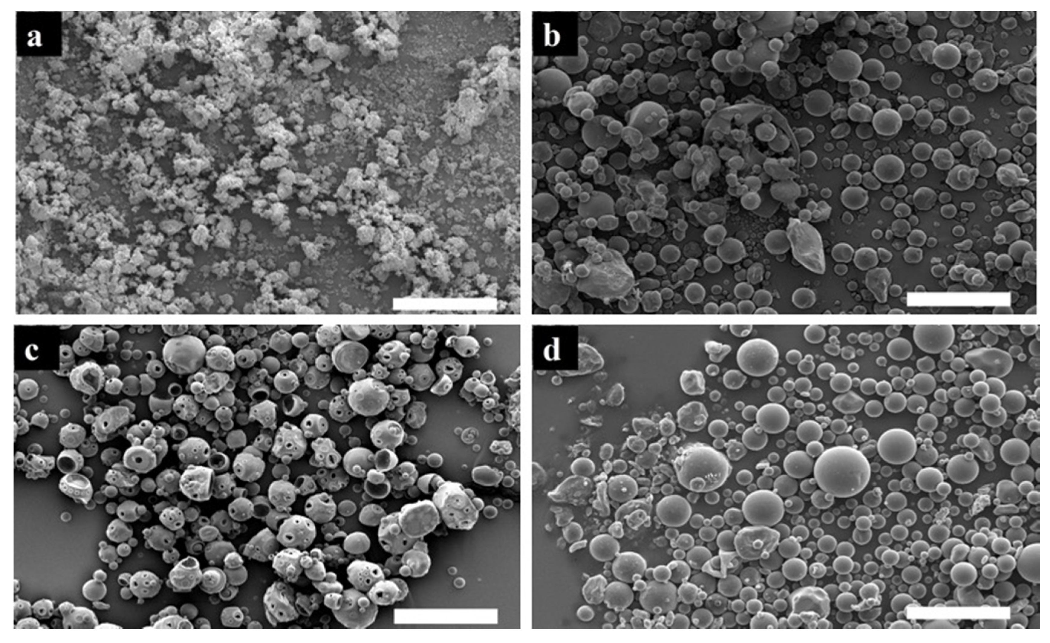 Jfb 11 00046 g004 Jfb 11 00046 g004