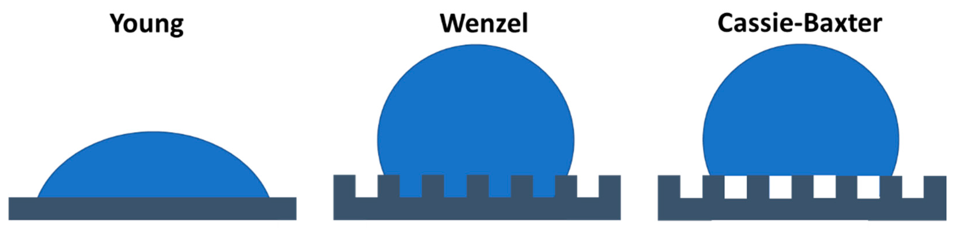 Jfb 11 00047 g001 Jfb 11 00047 g001