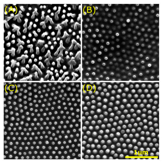 Natural Architectures for Tissue Engineering and