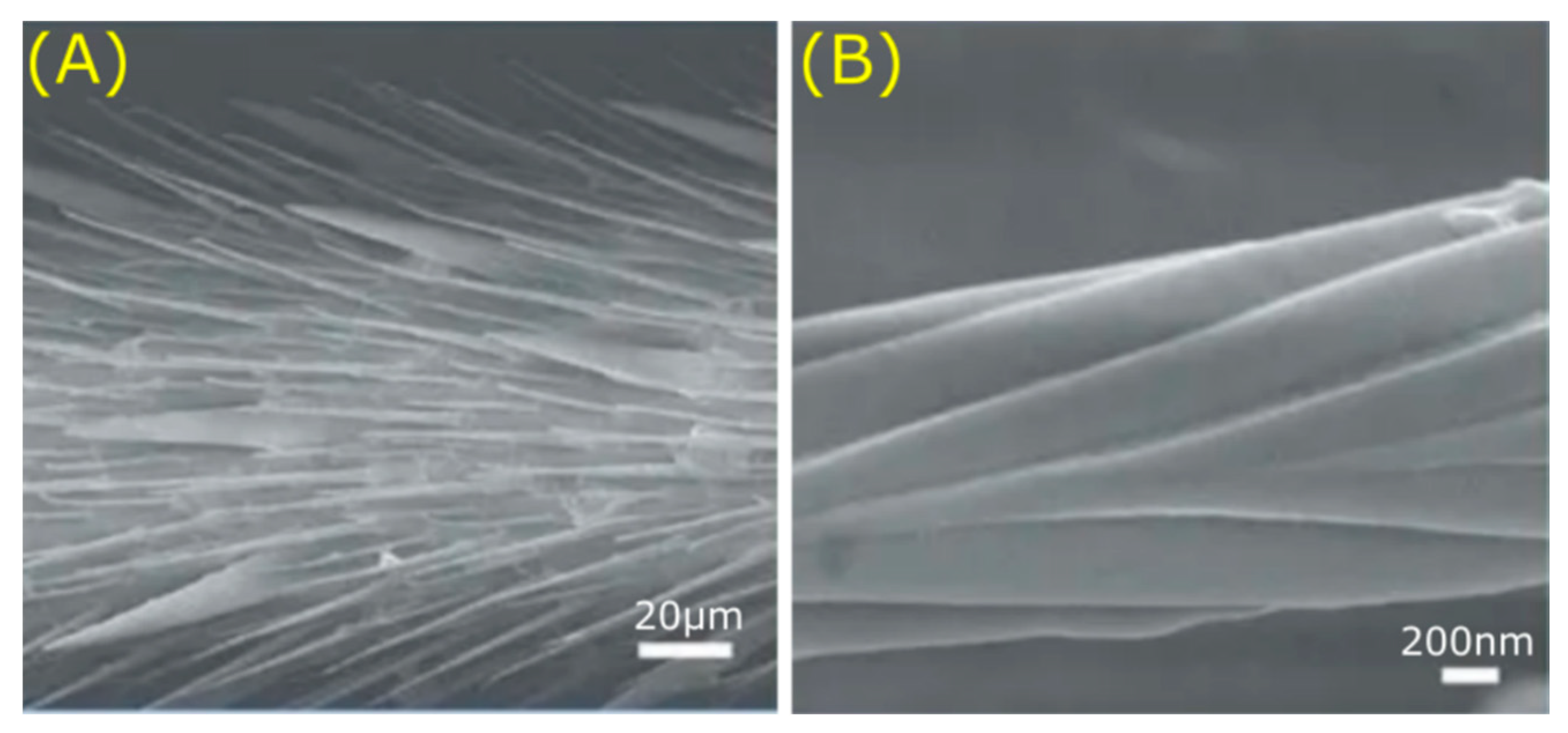 Jfb 11 00047 g007 Jfb 11 00047 g007