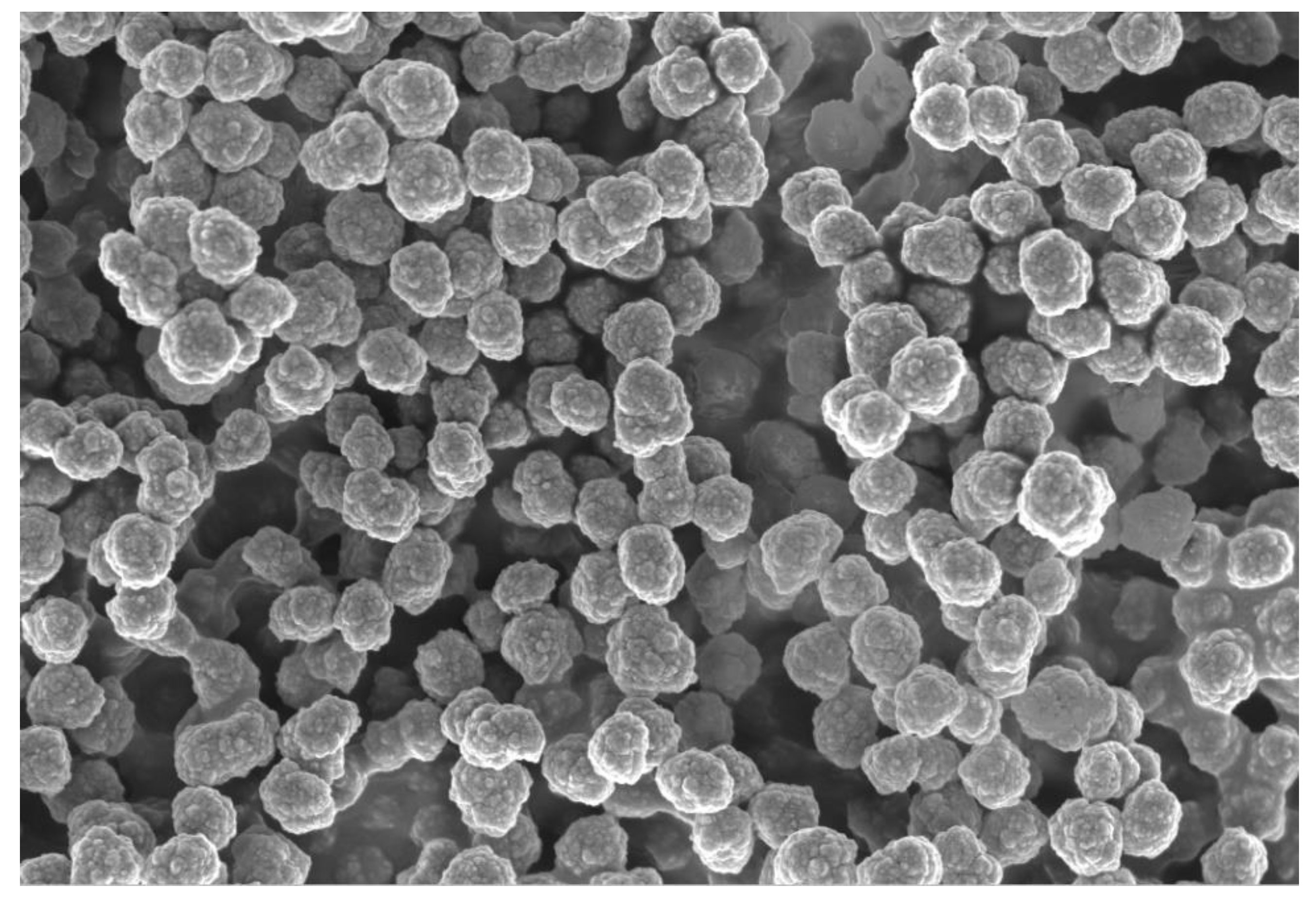 Jfb 11 00048 g002 Jfb 11 00048 g002