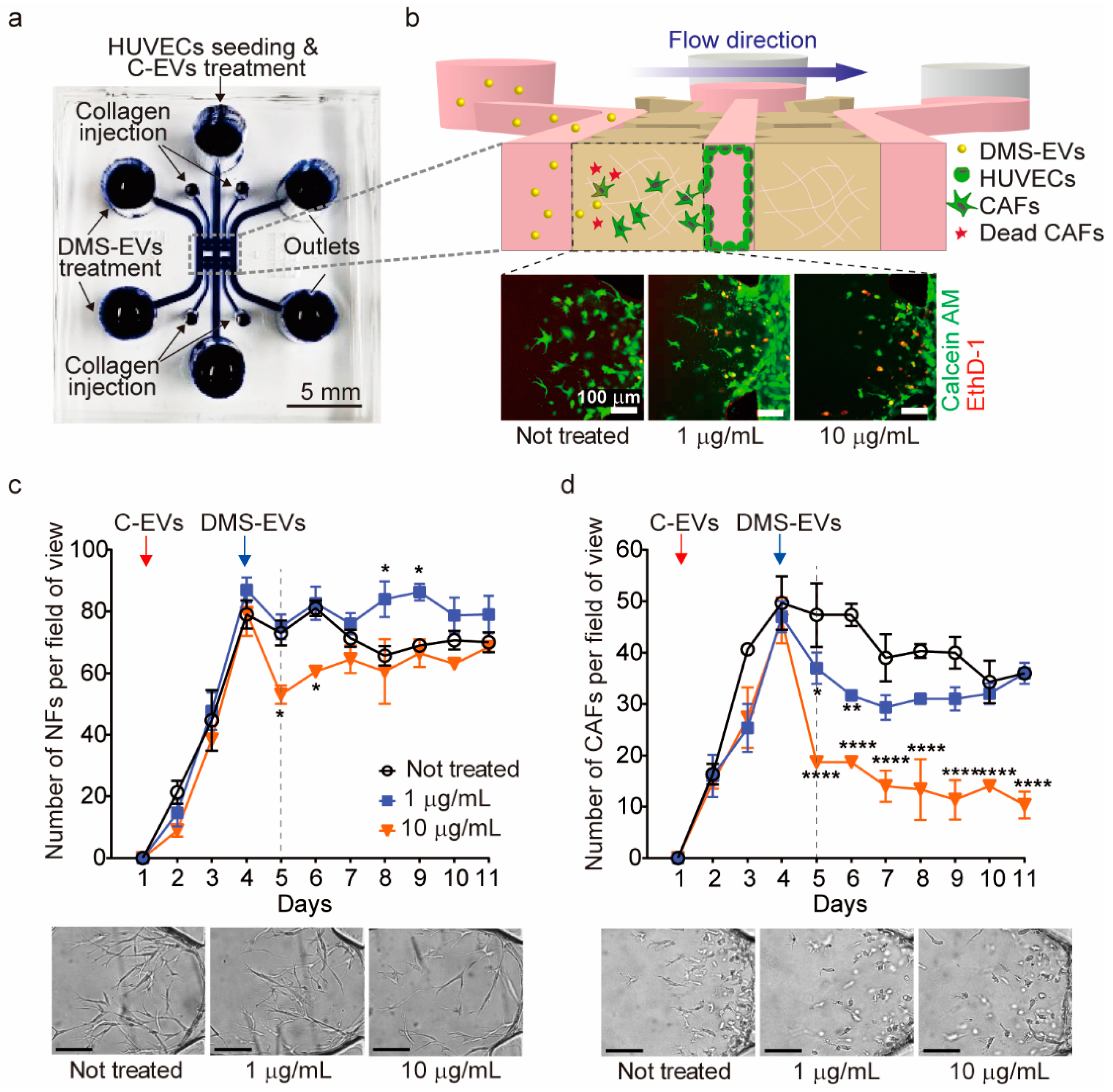 Jfb 11 00049 g002 Jfb 11 00049 g002
