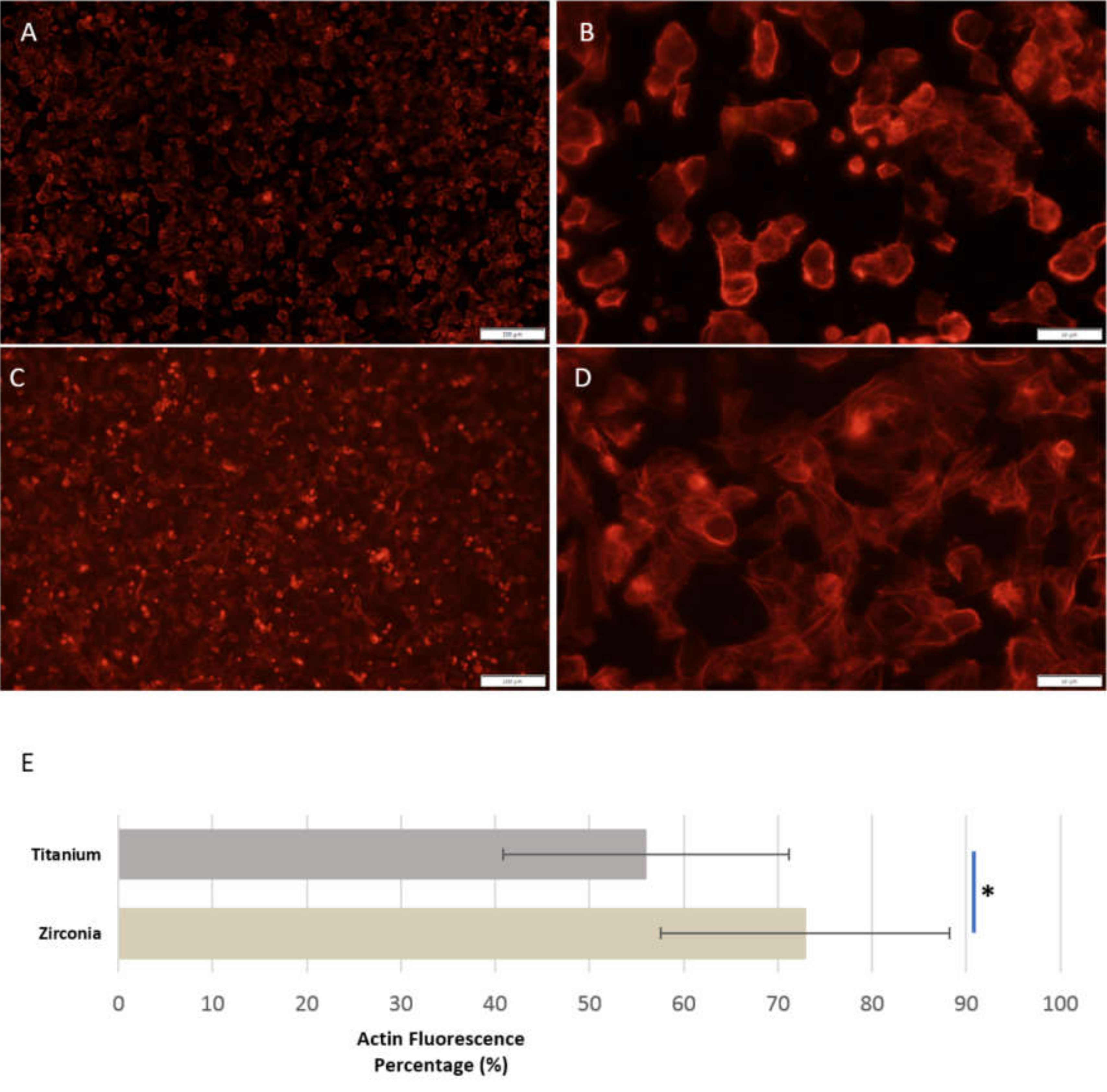 Jfb 11 00050 g005 Jfb 11 00050 g005