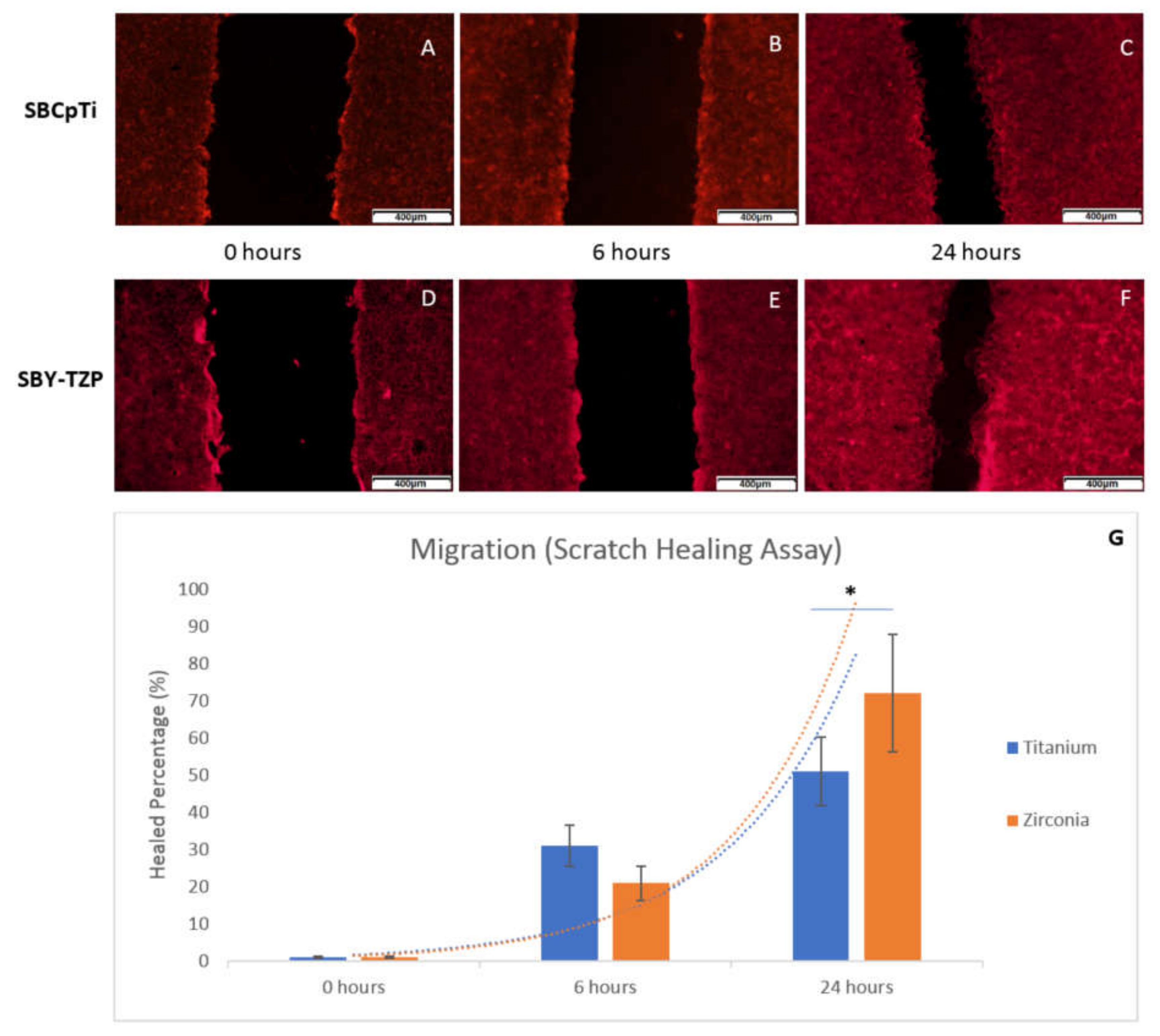 Jfb 11 00050 g009 Jfb 11 00050 g009