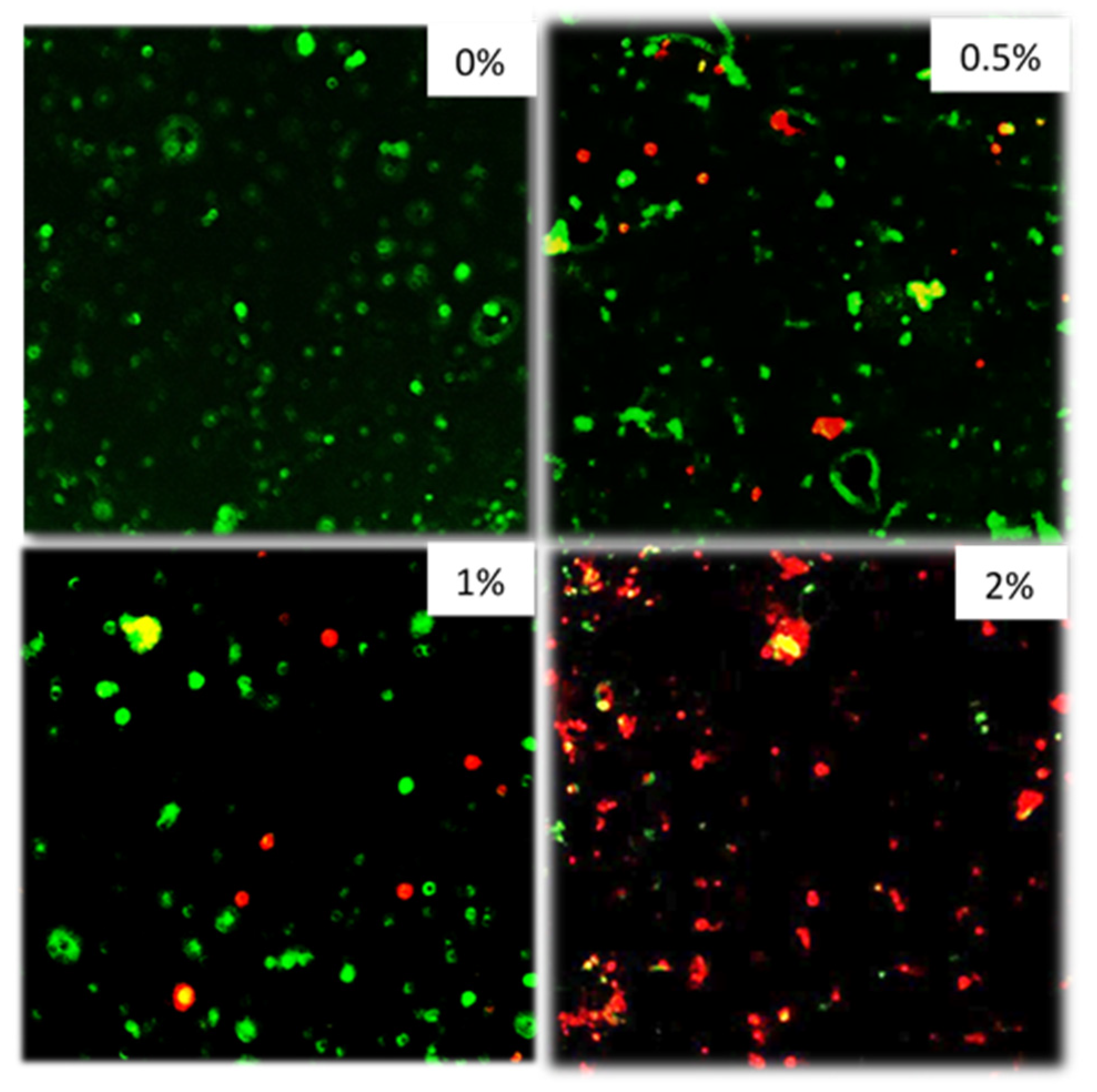 Jfb 11 00053 g006 Jfb 11 00053 g006