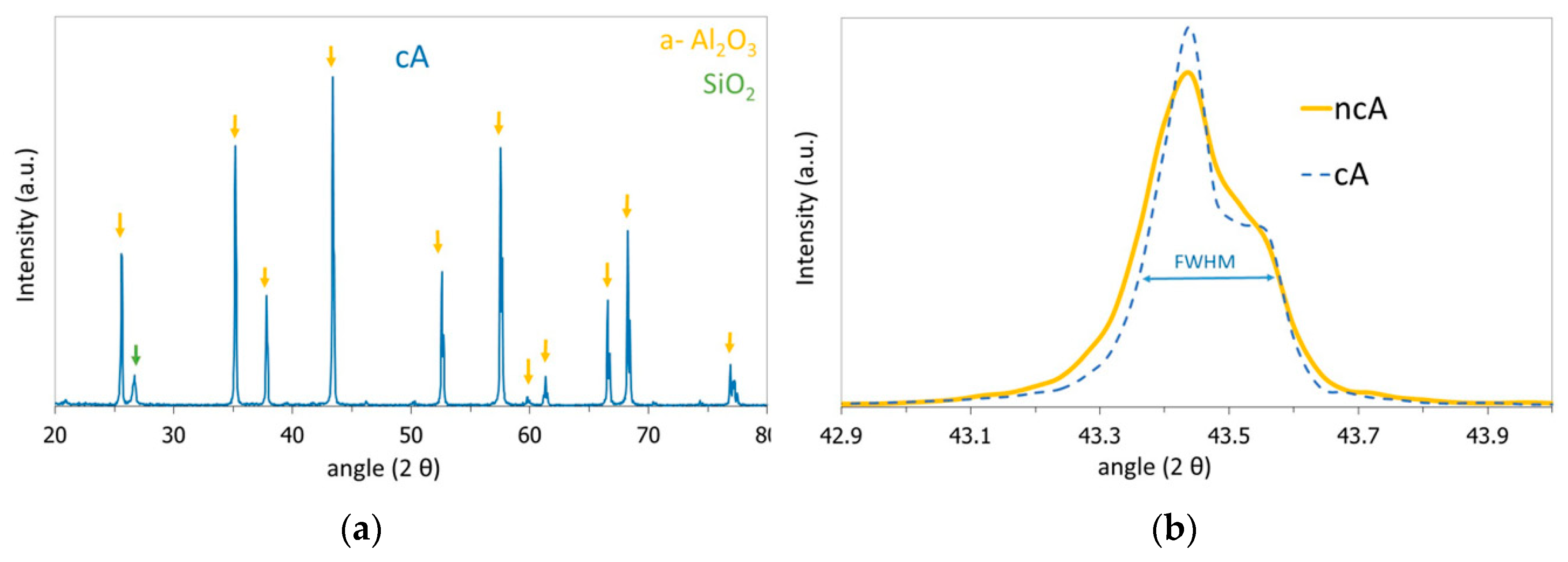 Jfb 11 00065 g002 Jfb 11 00065 g002