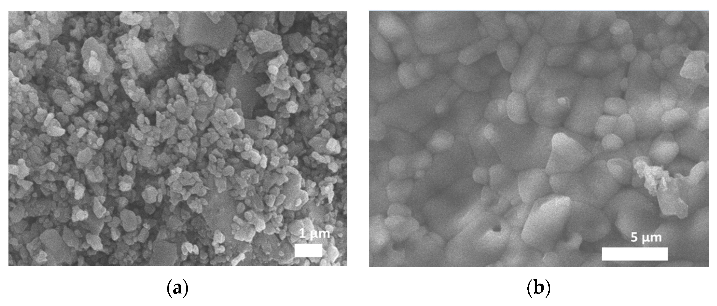 Jfb 11 00065 g004 Jfb 11 00065 g004