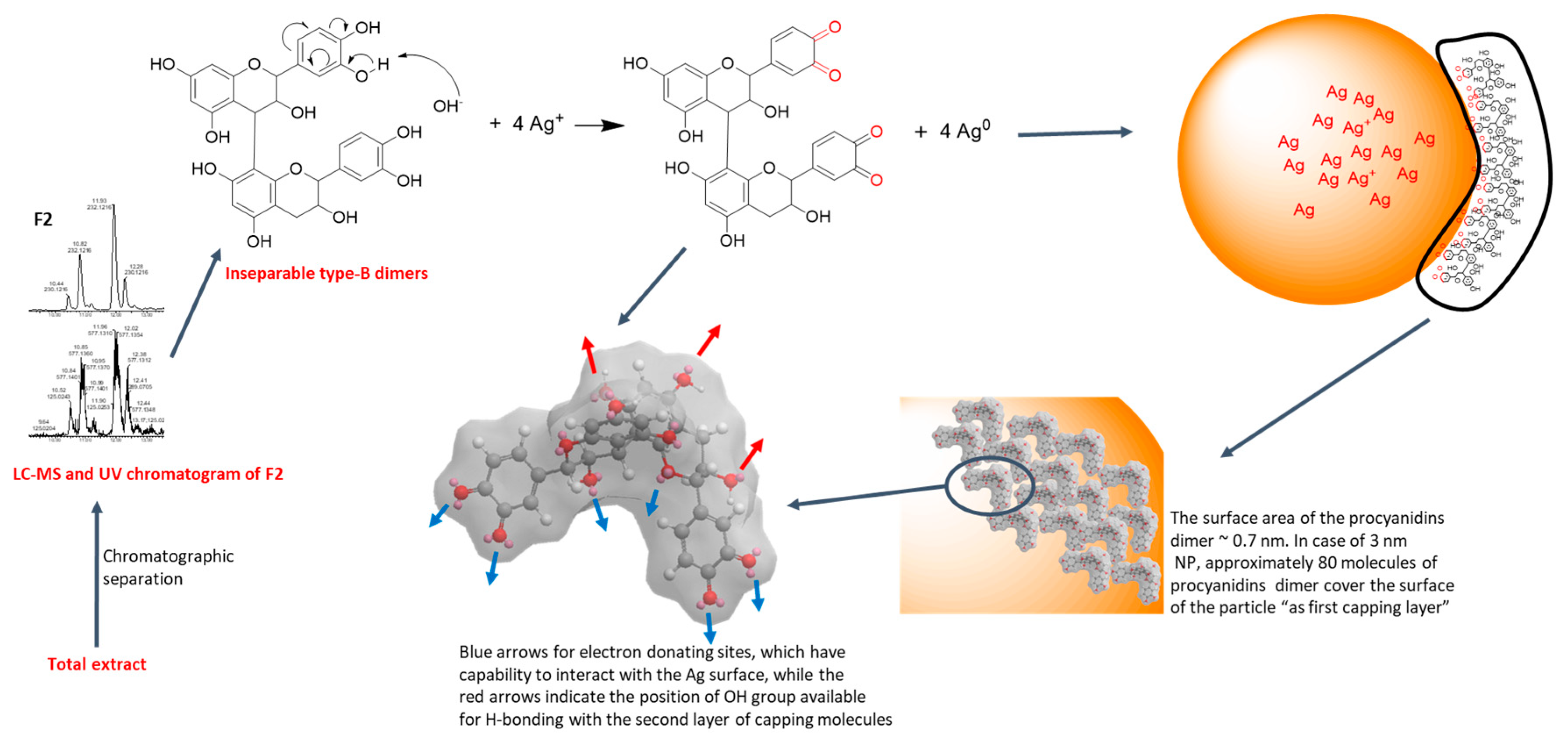 Jfb 11 00066 sch001 Jfb 11 00066 sch001
