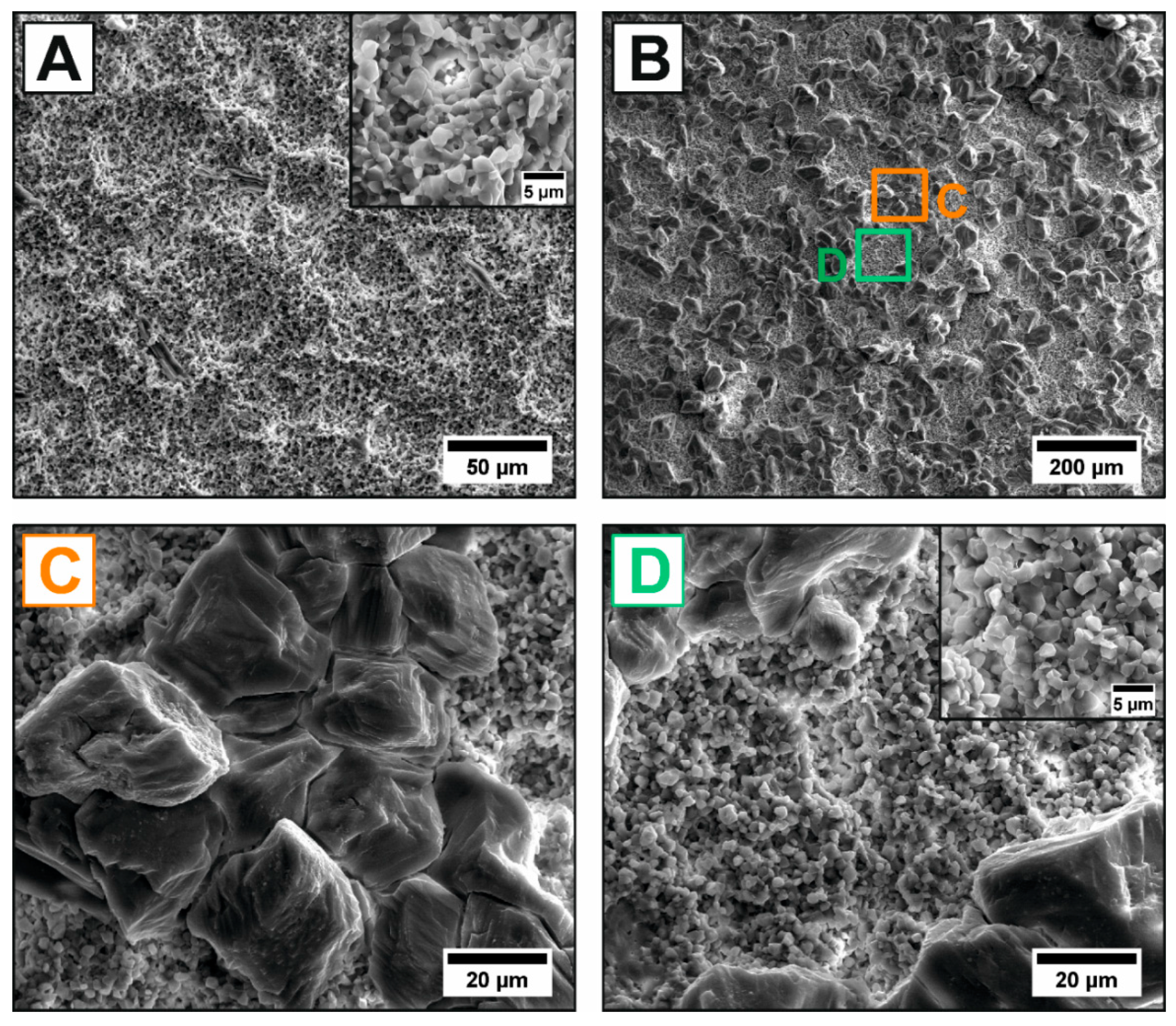 Jfb 11 00073 g004 Jfb 11 00073 g004