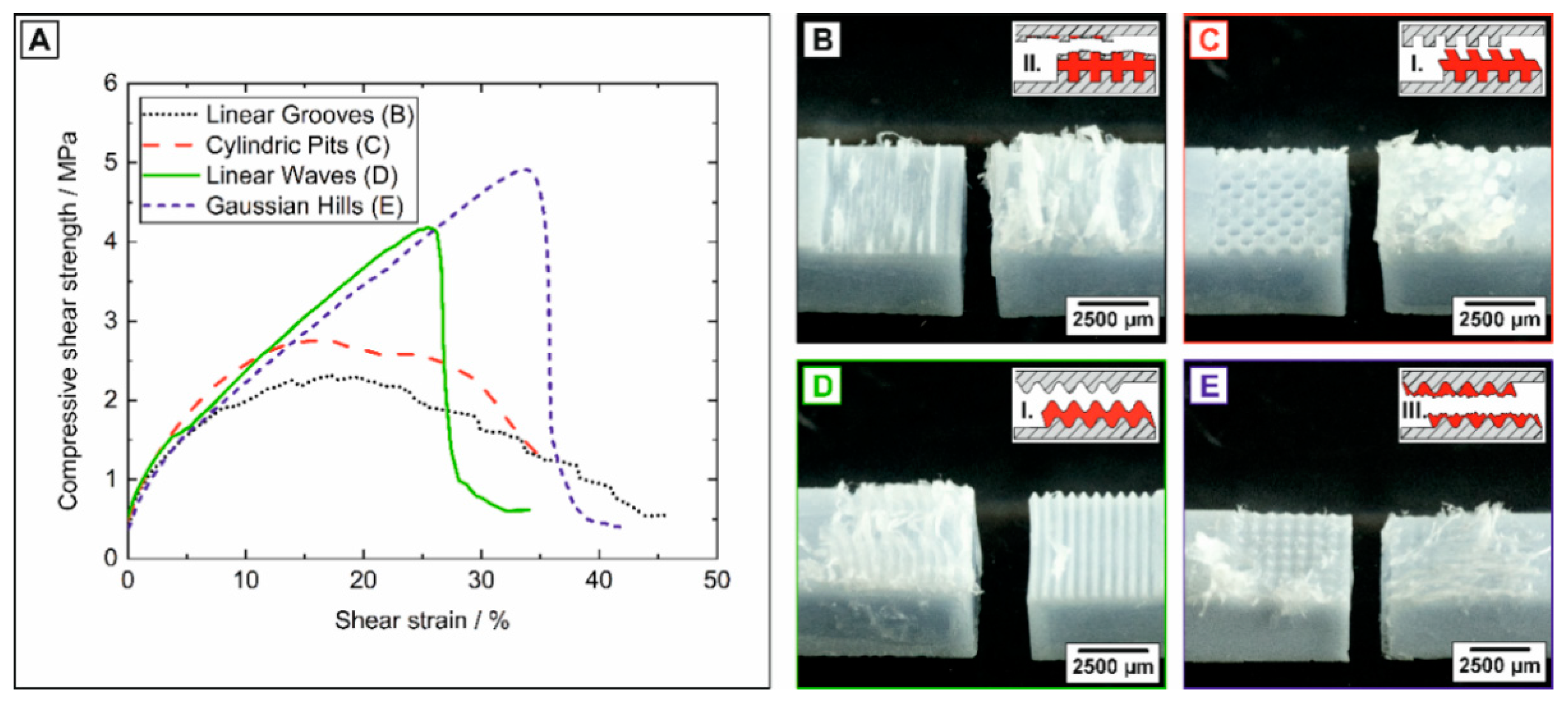 Jfb 11 00073 g007 Jfb 11 00073 g007