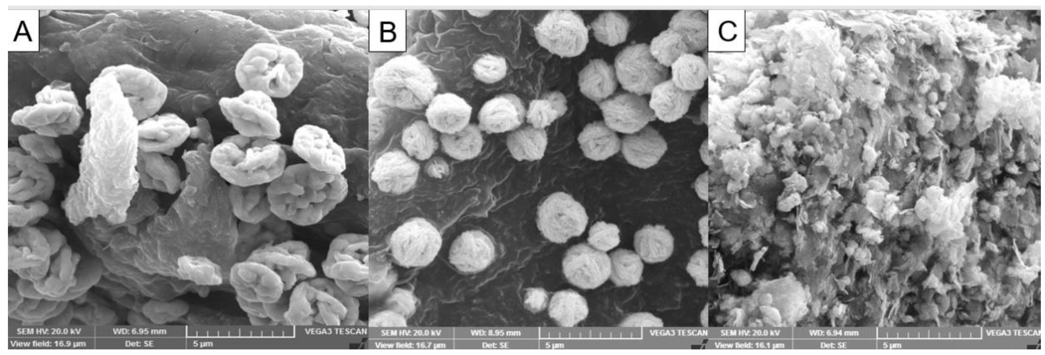 Jfb 11 00076 g003 Jfb 11 00076 g003