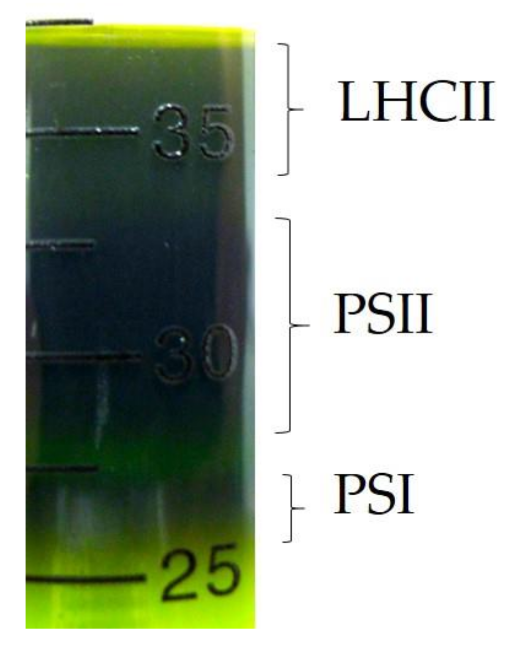 Jfb 11 00081 g004 Jfb 11 00081 g004