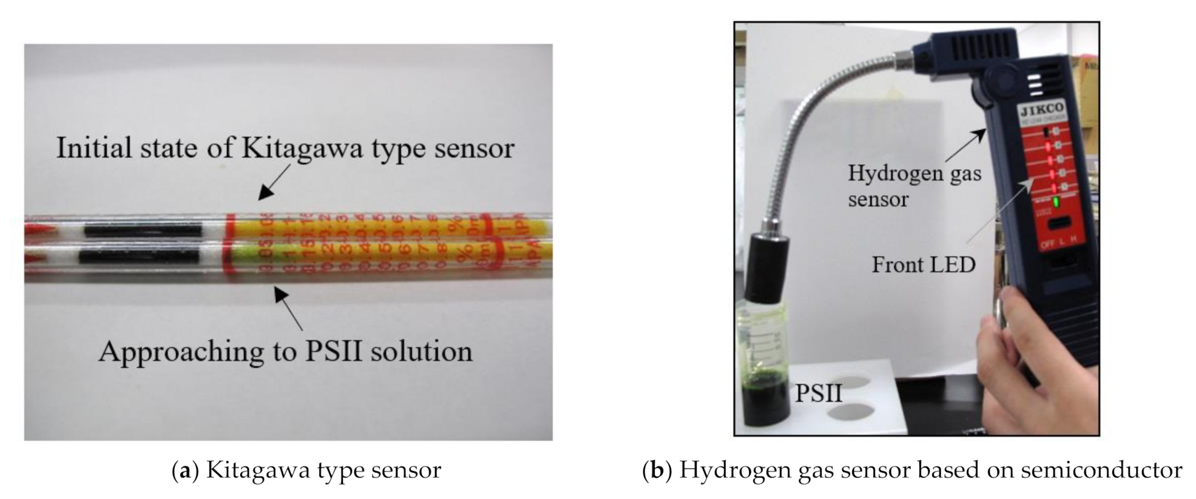 Jfb 11 00081 g006 Jfb 11 00081 g006