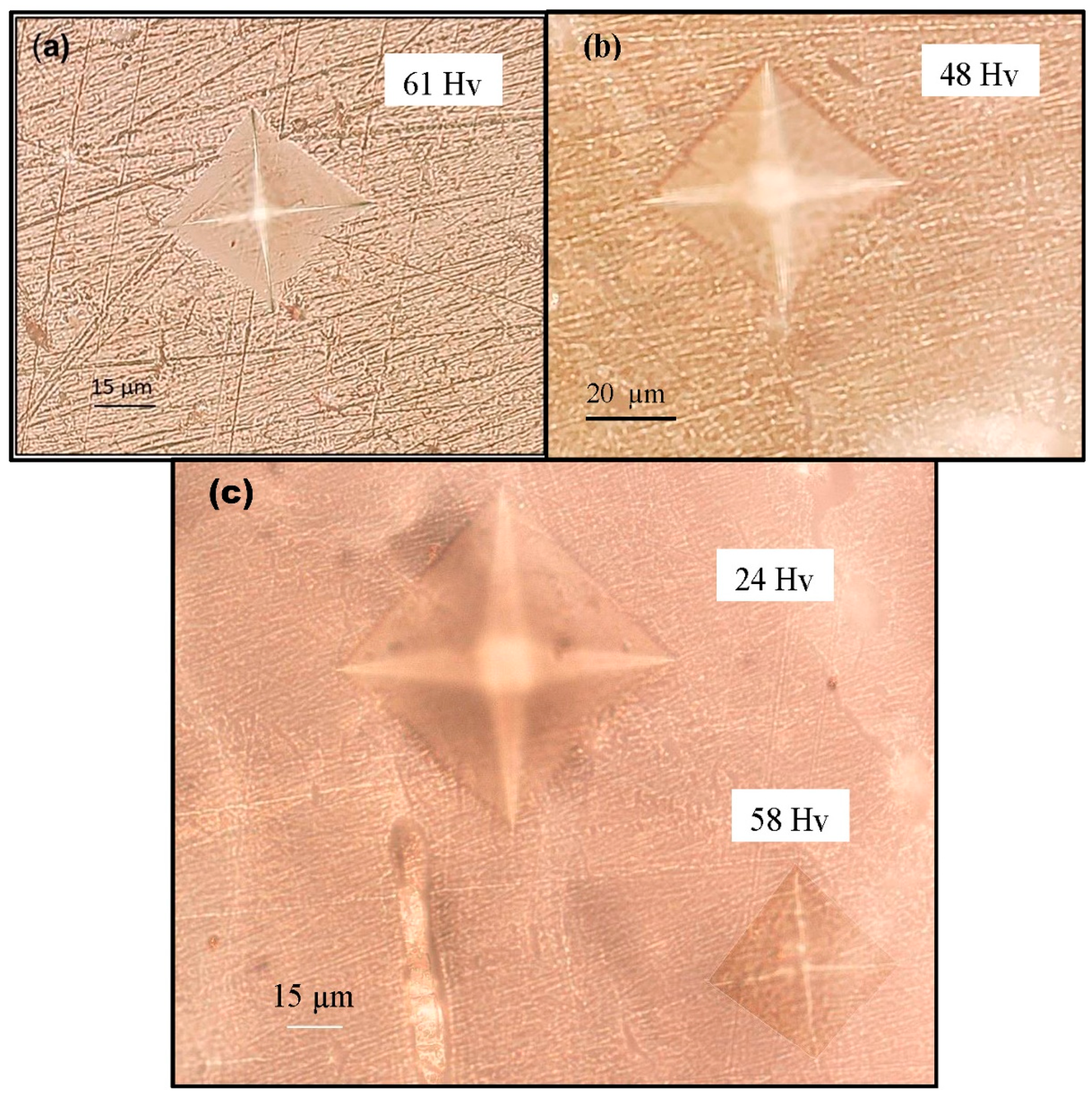 Jfb 11 00085 g003 Jfb 11 00085 g003