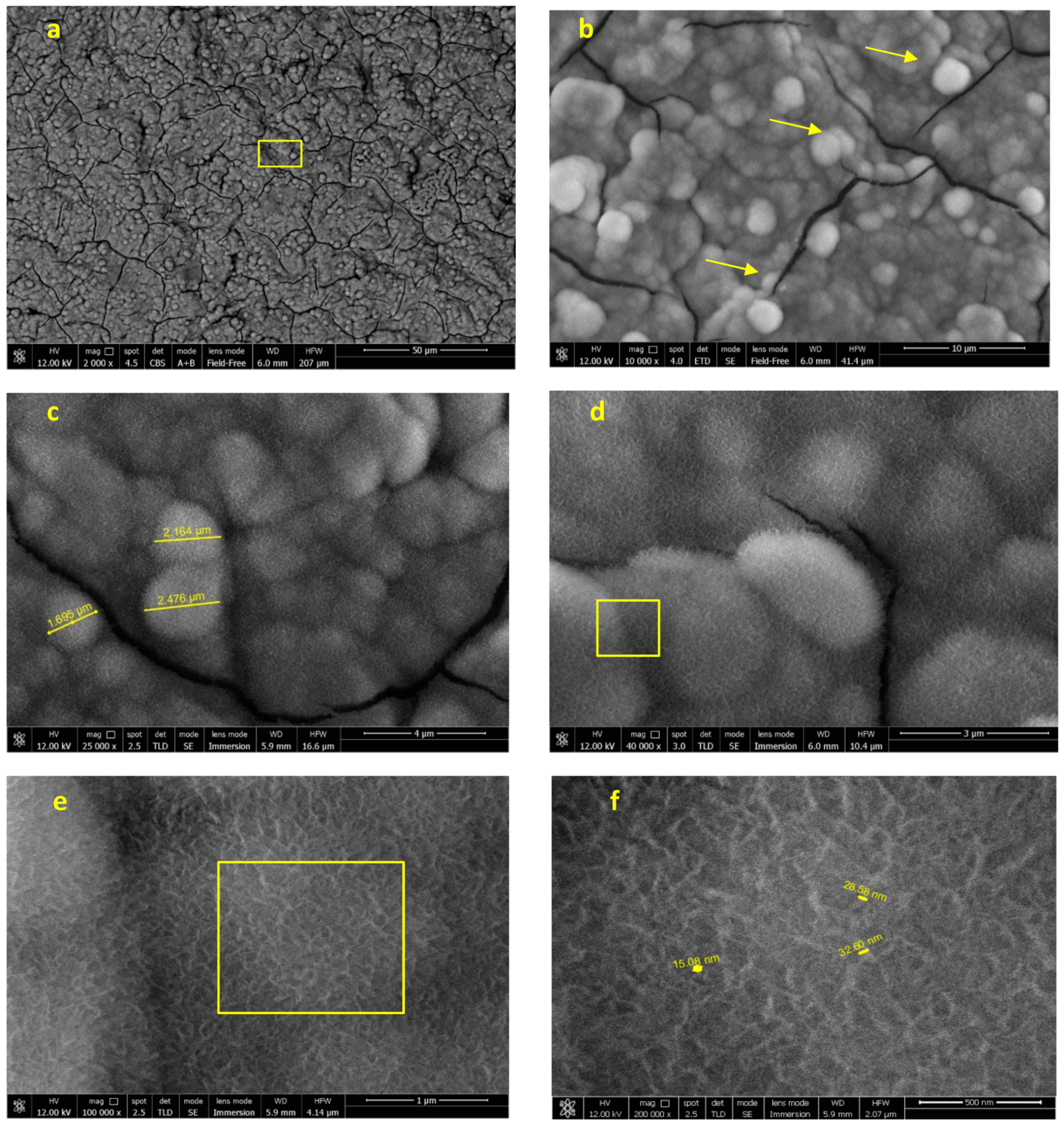 Jfb 12 00003 g007 Jfb 12 00003 g007