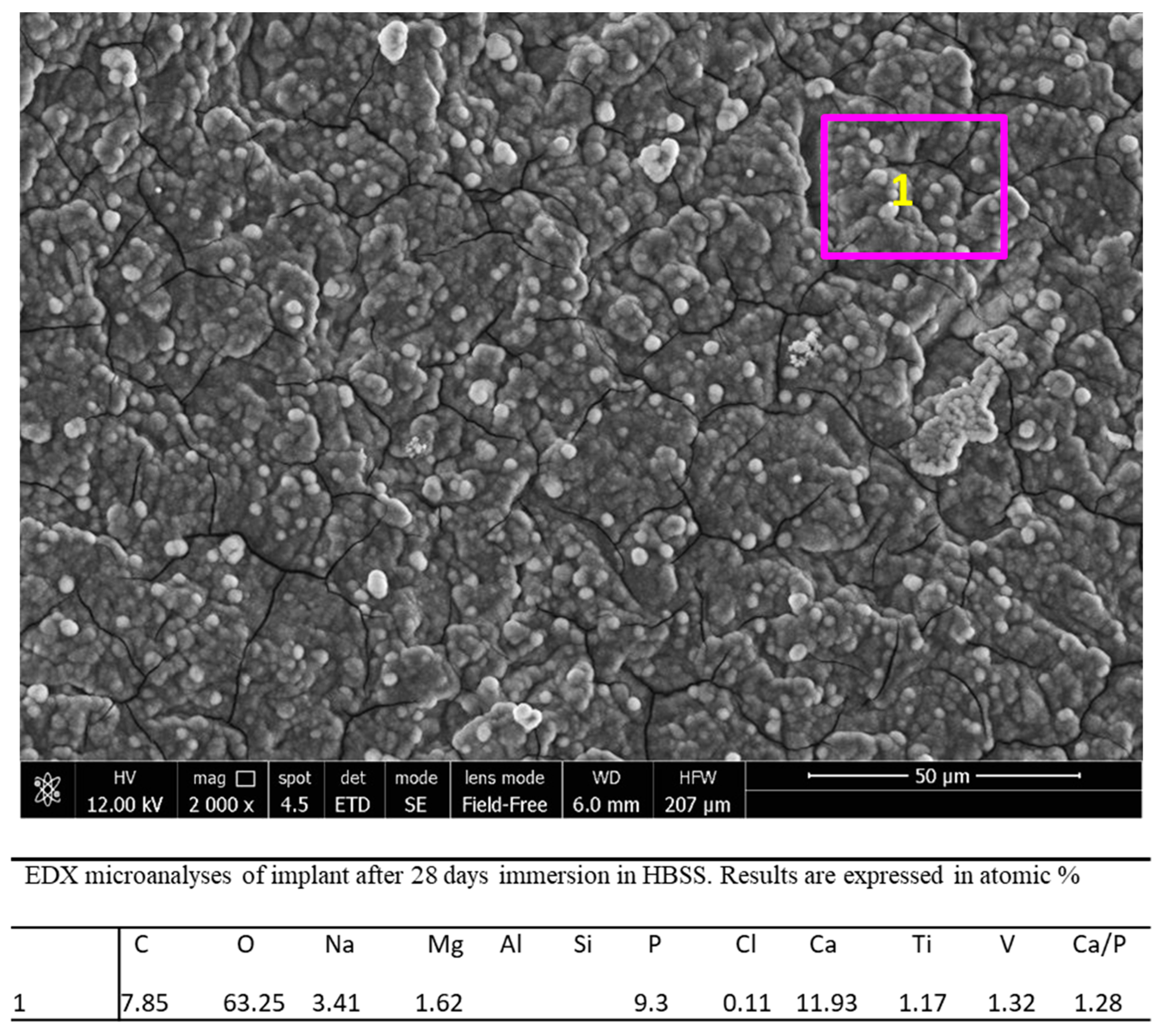 Jfb 12 00003 g008 Jfb 12 00003 g008