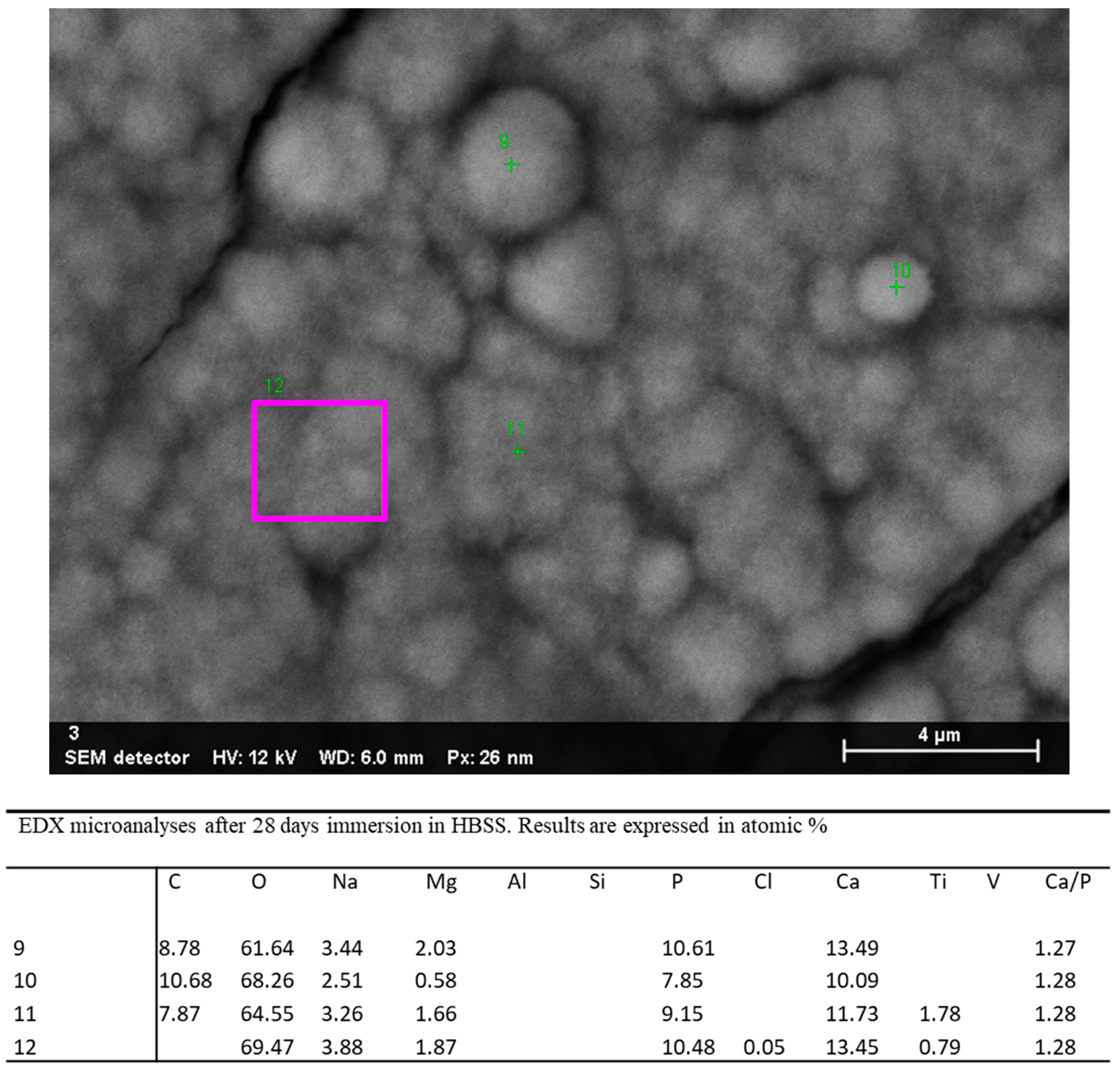 Jfb 12 00003 g009 Jfb 12 00003 g009