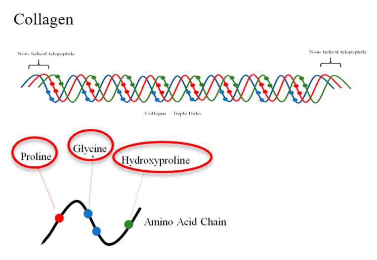 Jfb 12 00014 i001 Jfb 12 00014 i001