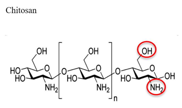 Jfb 12 00014 i002 Jfb 12 00014 i002