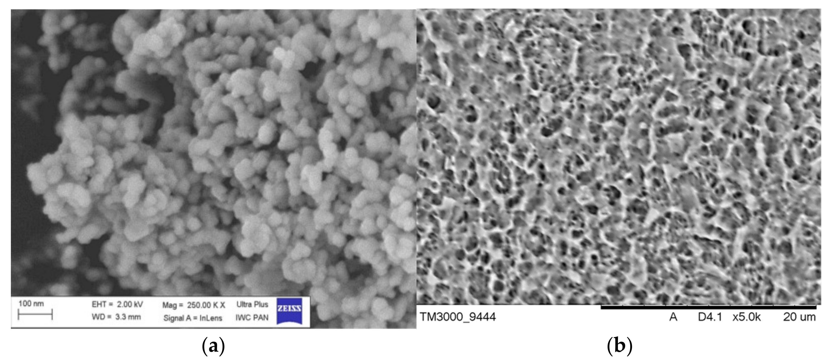 Jfb 12 00021 g006 Jfb 12 00021 g006