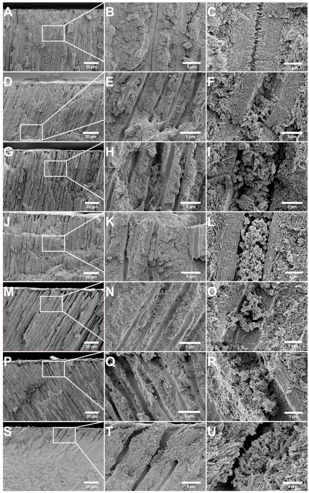 Jfb 12 00027 g003 Jfb 12 00027 g003