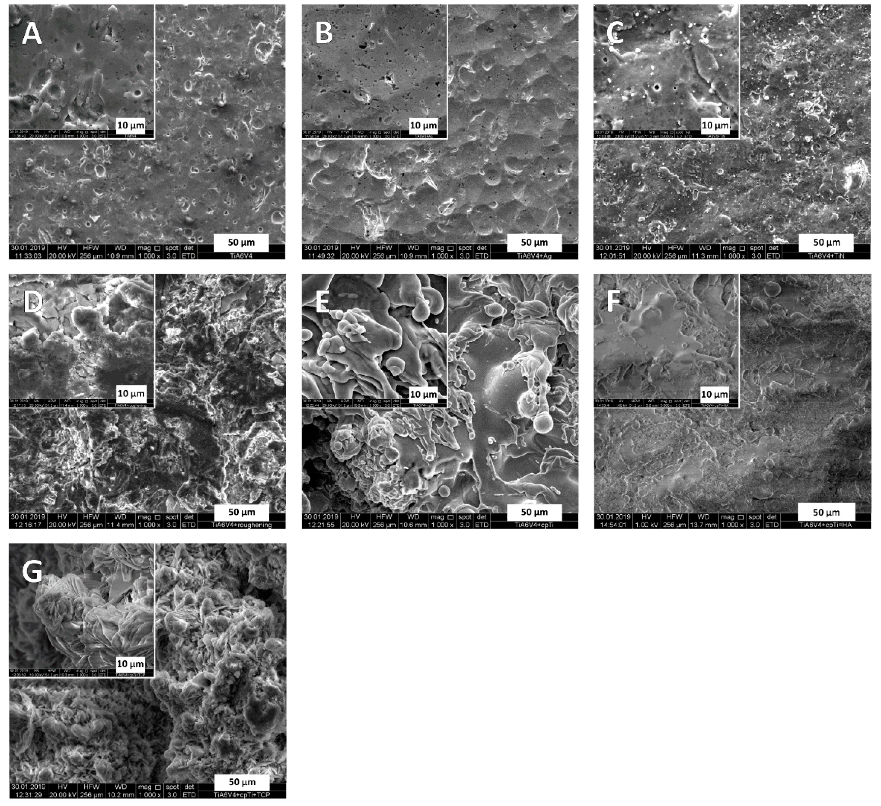 Jfb 12 00036 g001 Jfb 12 00036 g001