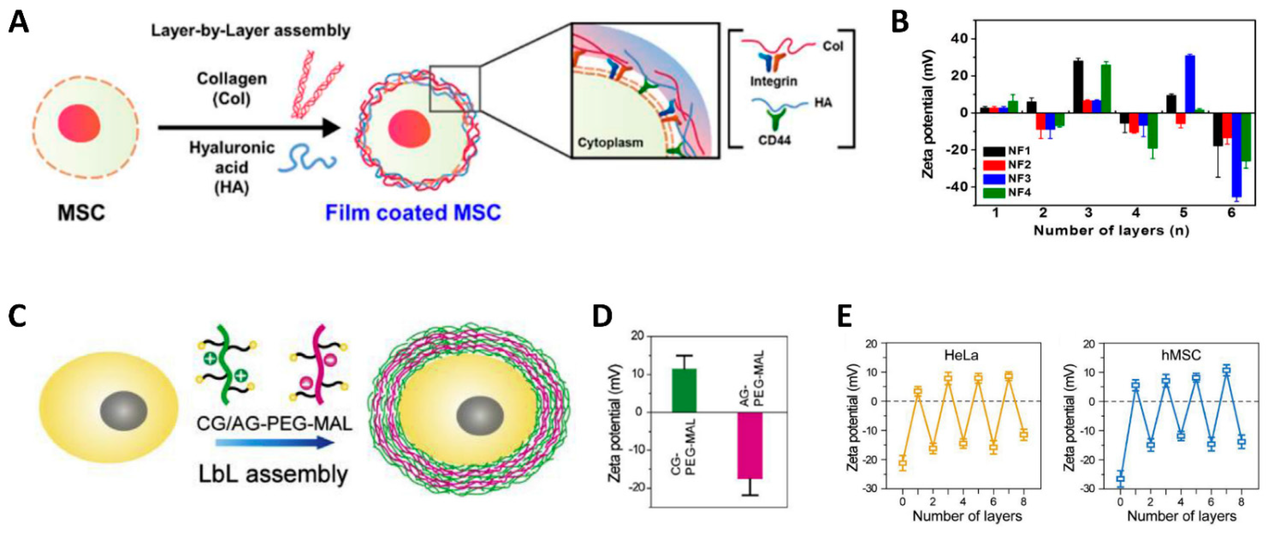 Jfb 12 00041 g002 Jfb 12 00041 g002