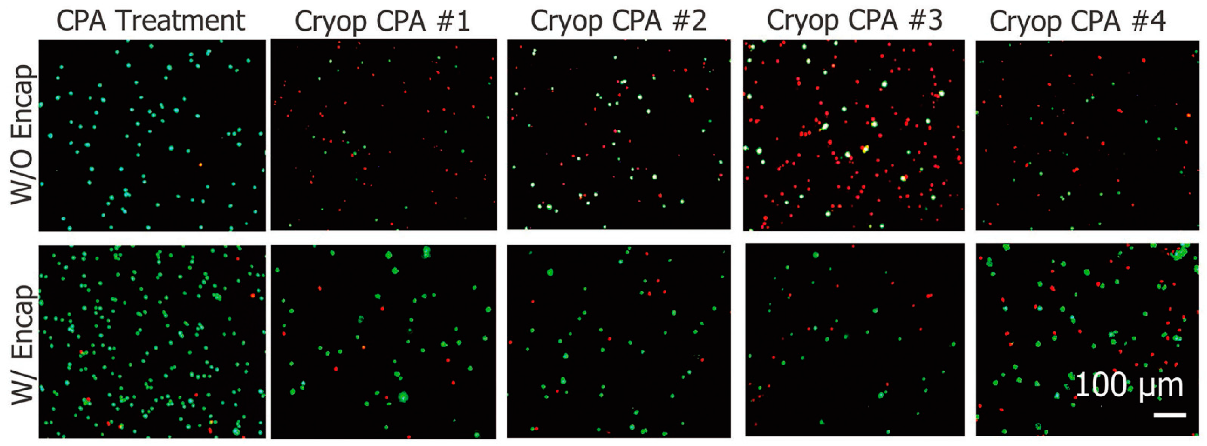 Jfb 12 00041 g005 Jfb 12 00041 g005