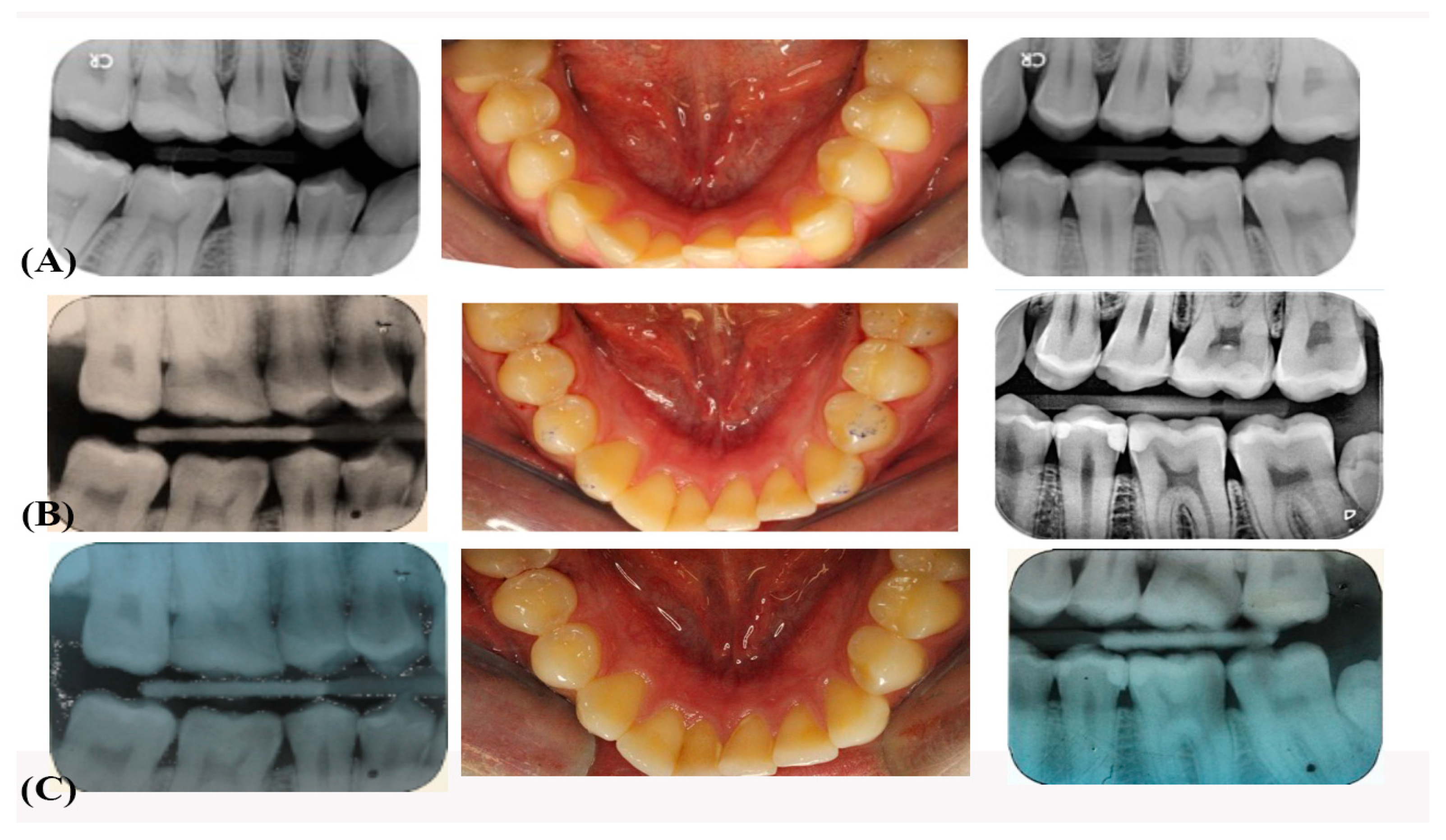Jfb 12 00051 g001 550