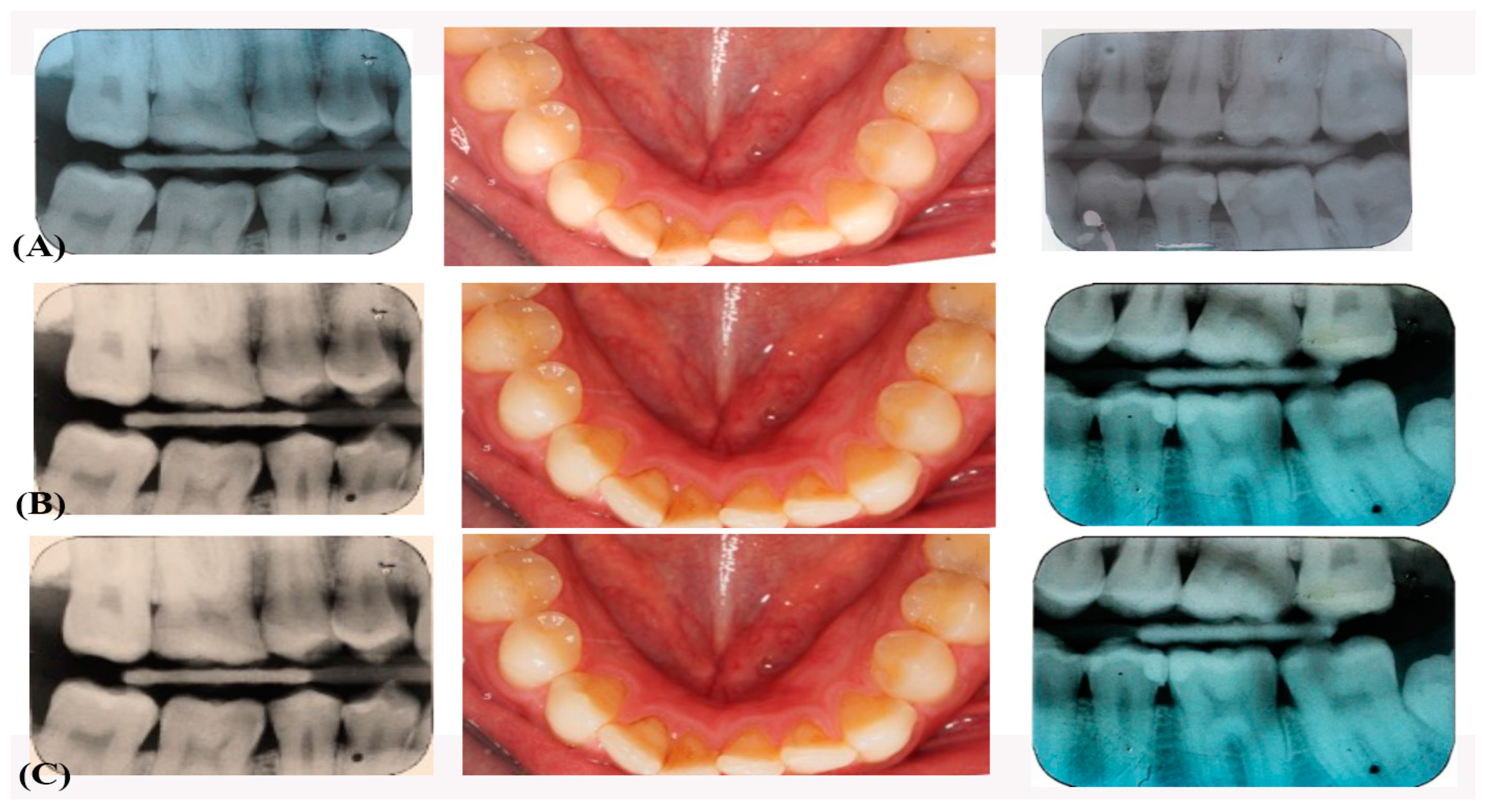 Jfb 12 00051 g002 550