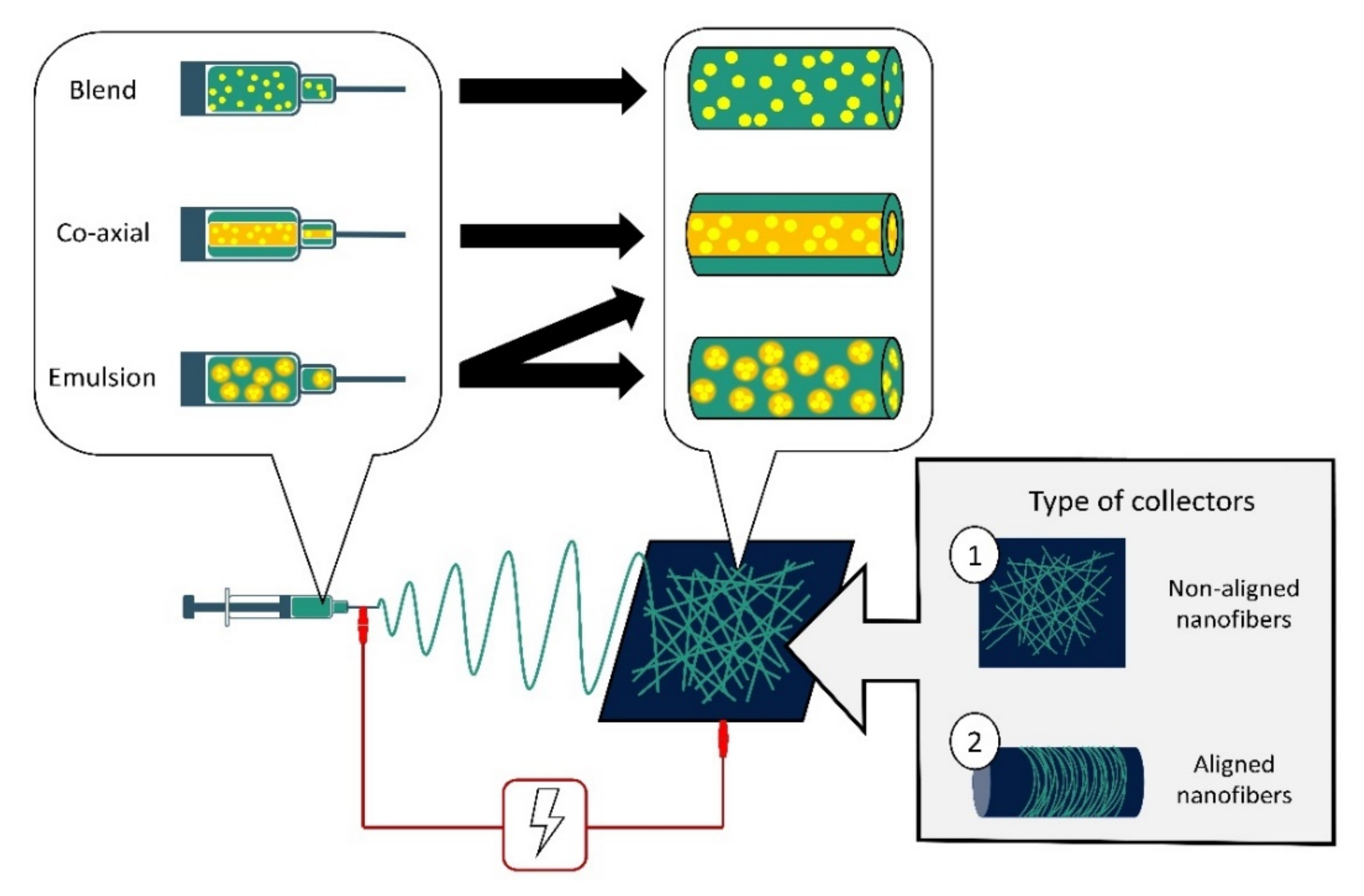 Nanofibers for Biomedical and Healthcare Applications - Rasouli