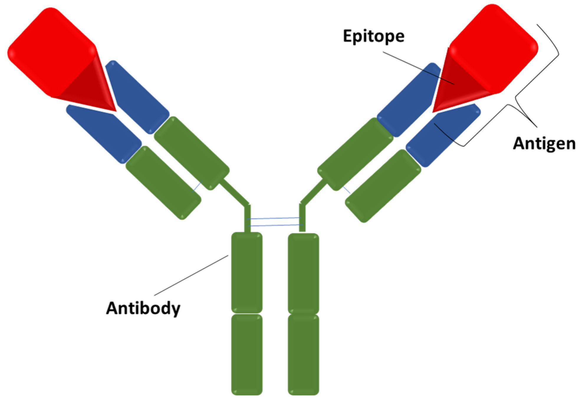 Jfb 13 00012 g002 550
