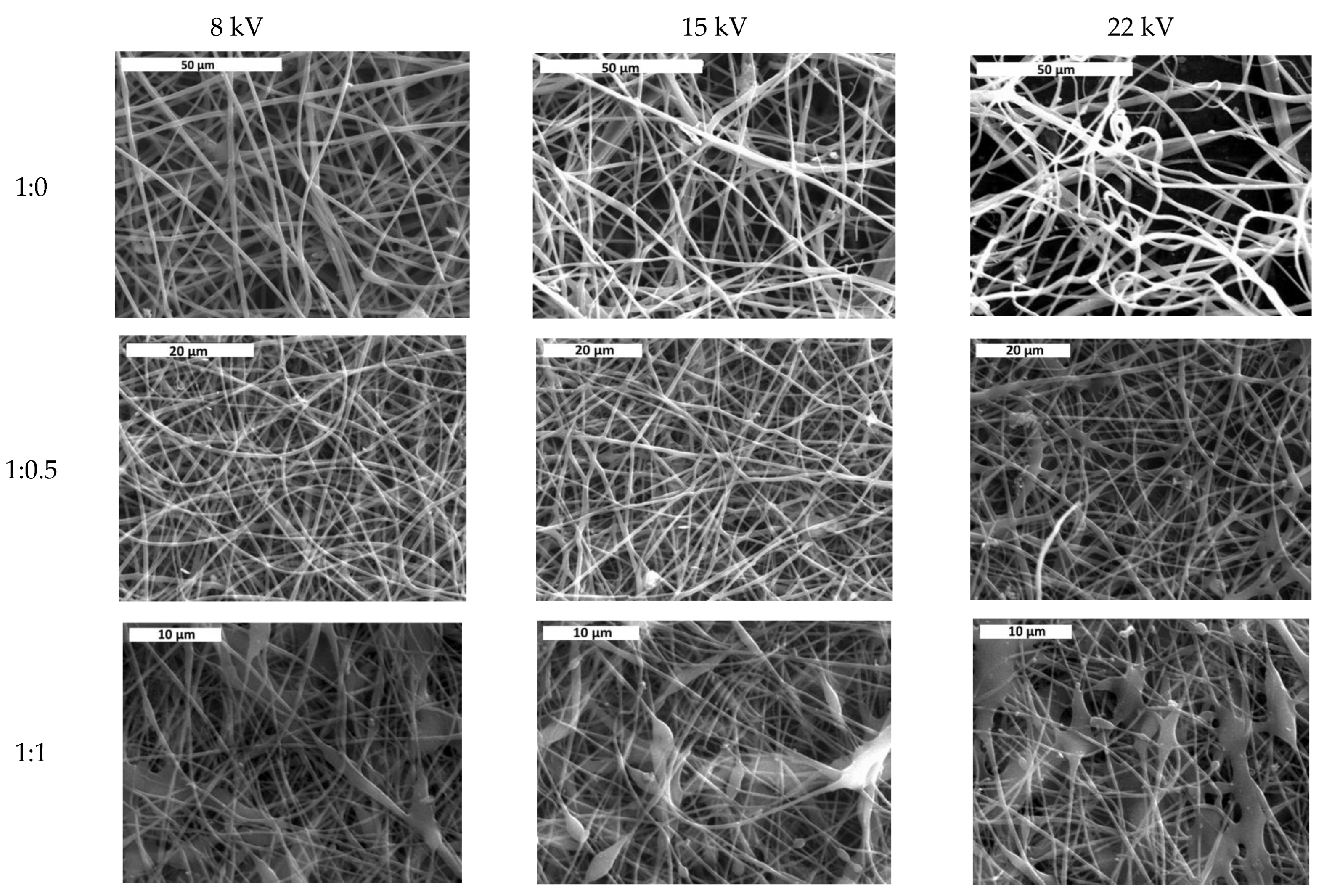 Jfb 13 00021 g003 550