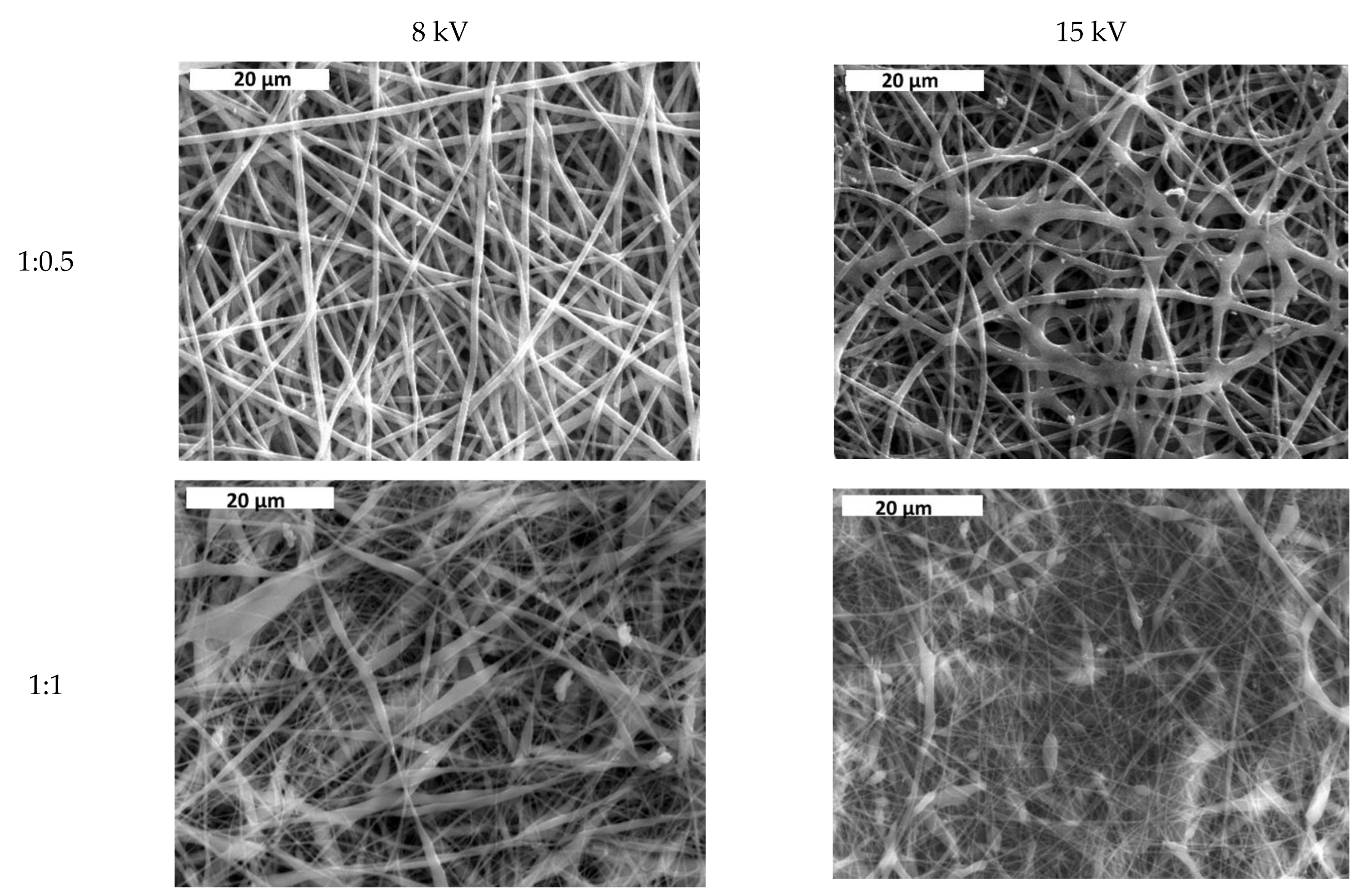 Jfb 13 00021 g005 550