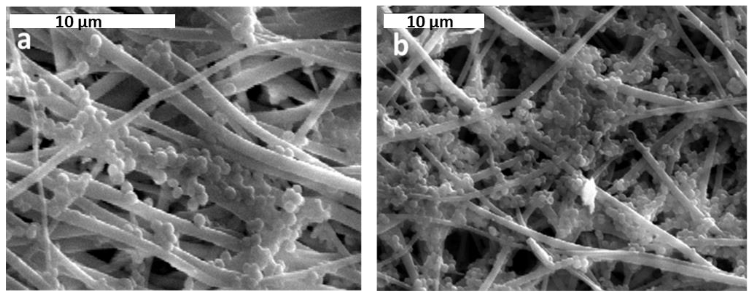 Jfb 13 00021 g008 550