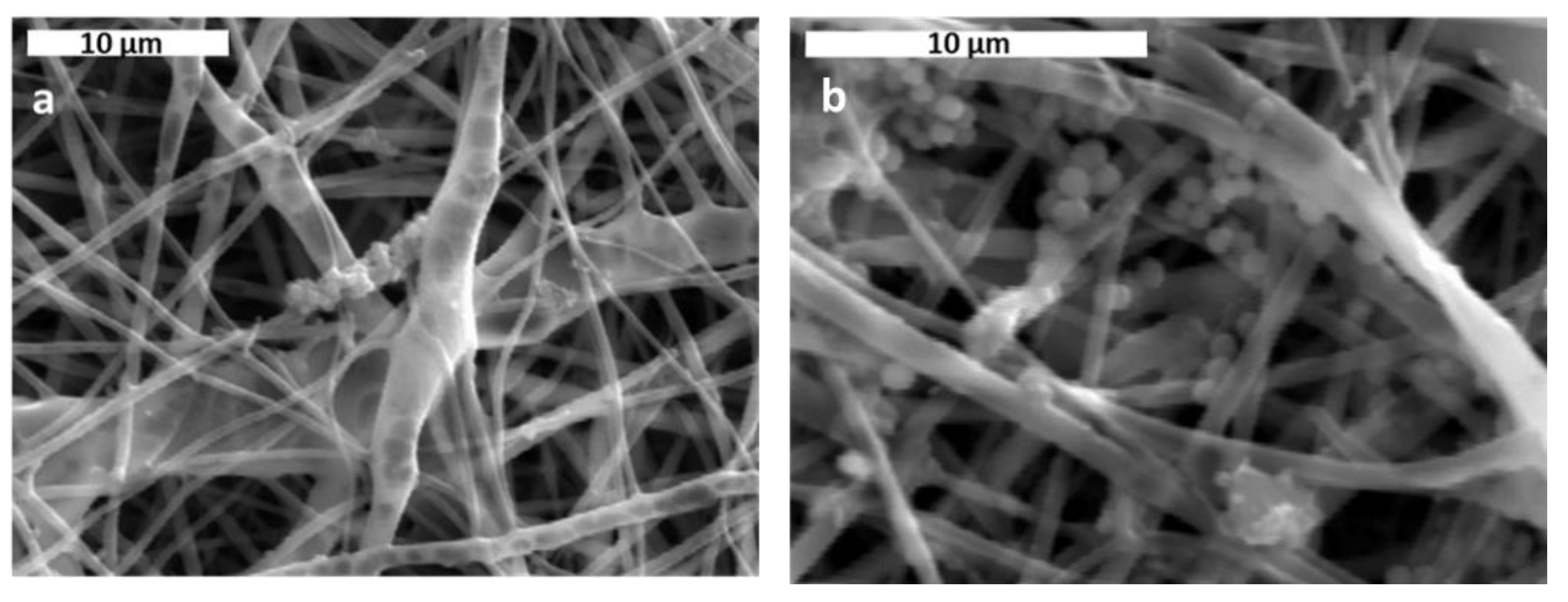 Jfb 13 00021 g009 550