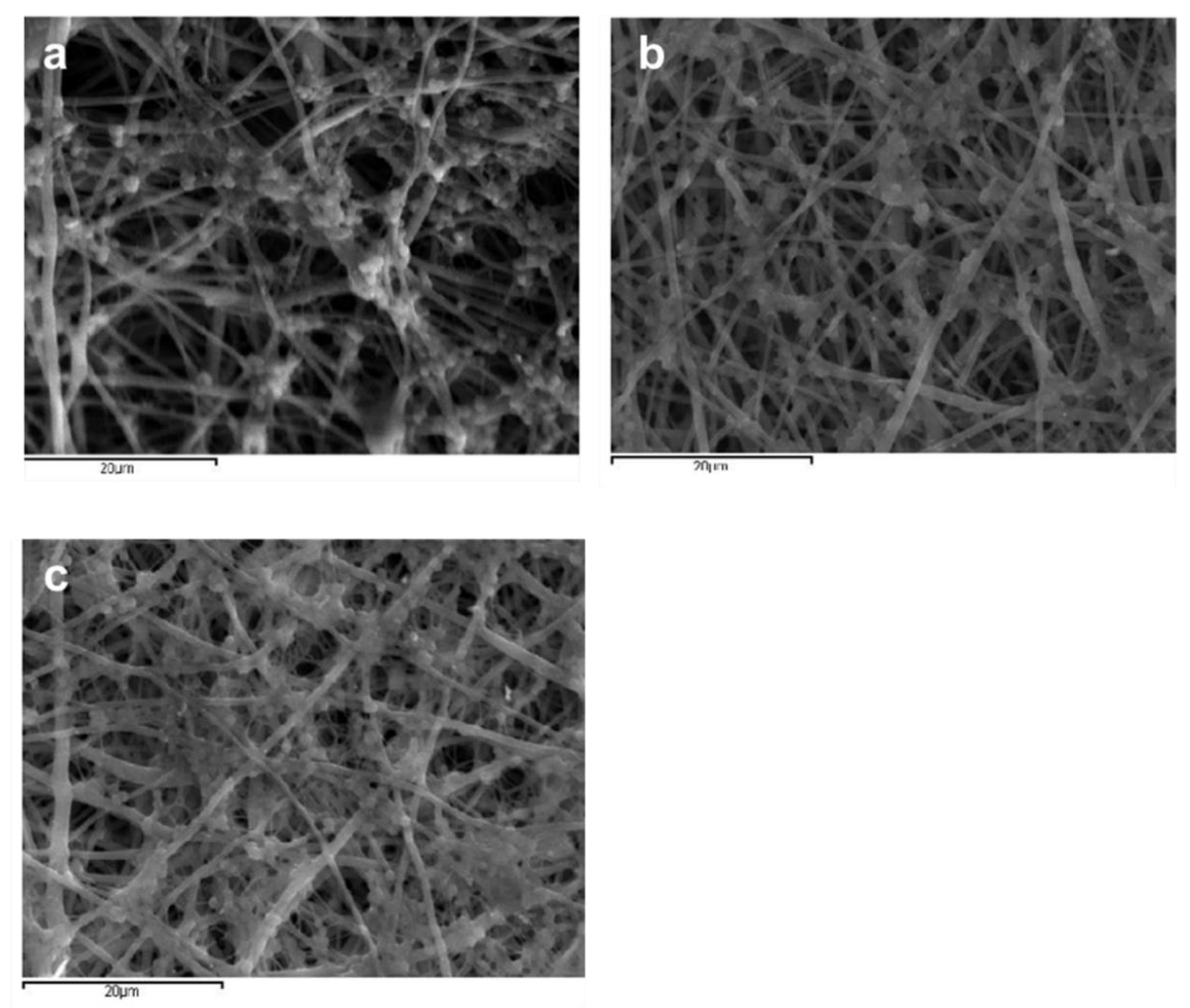 Jfb 13 00021 g010 550