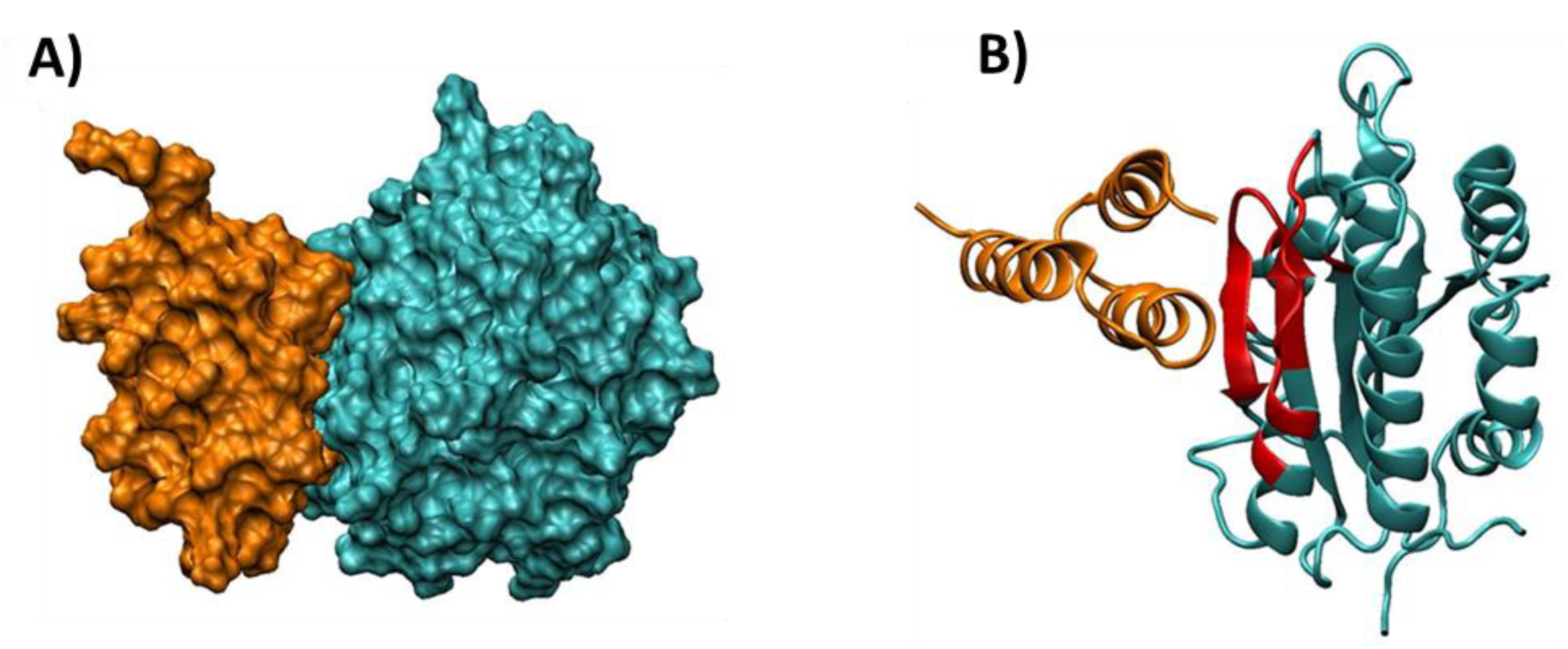 Jfb 13 00021 g013 550