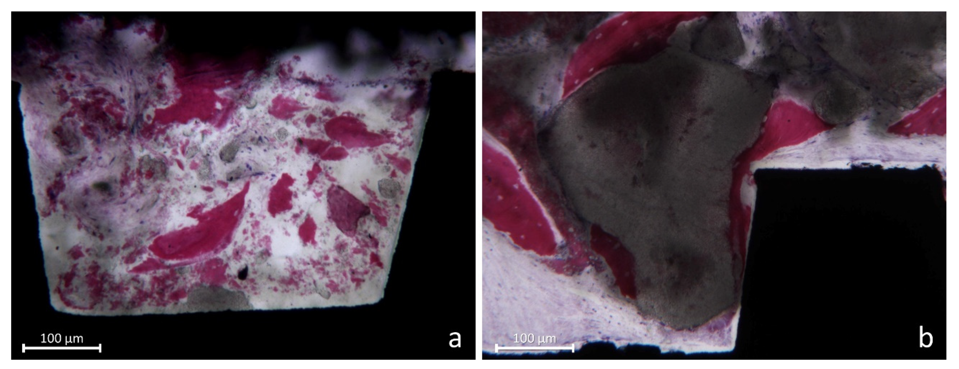 Jfb 13 00022 g007 Jfb 13 00022 g007