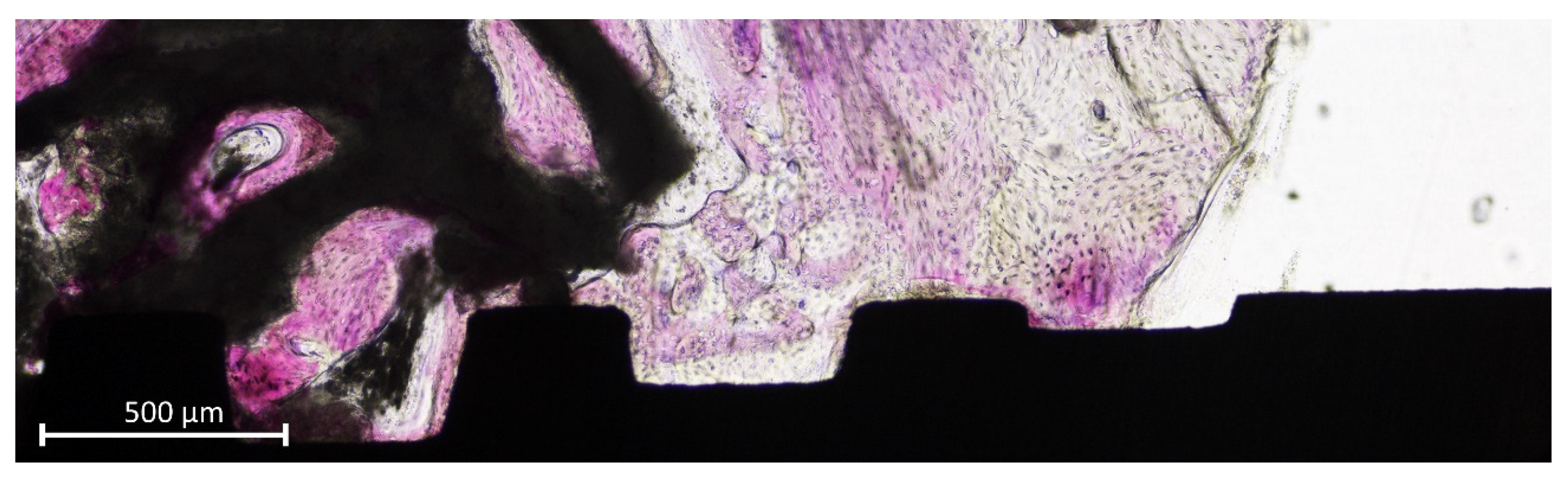 Jfb 13 00022 g008 Jfb 13 00022 g008