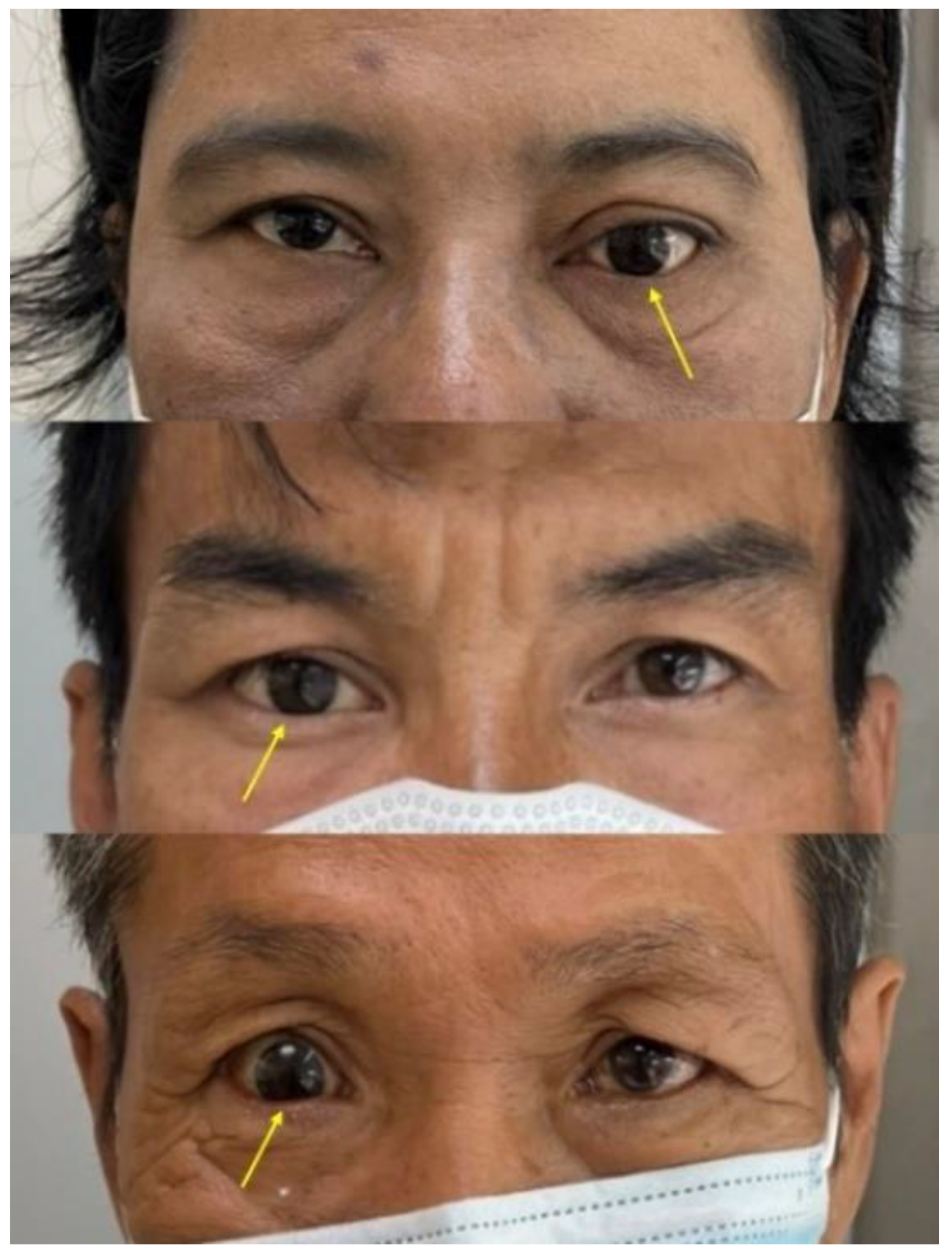 Jfb 13 00029 g002 Jfb 13 00029 g002