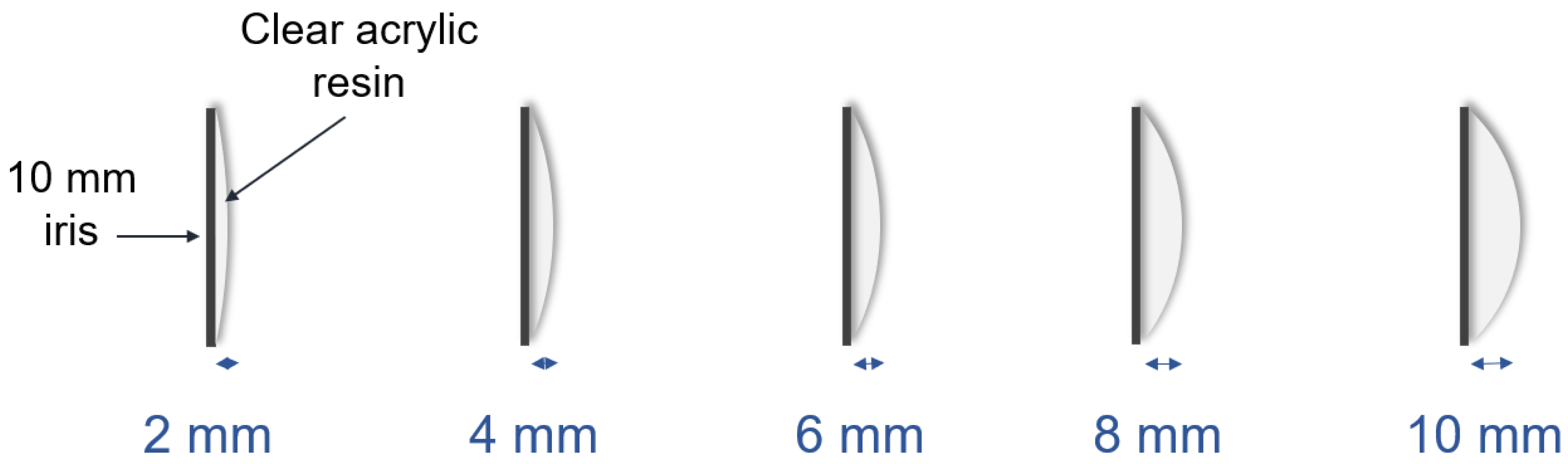 Jfb 13 00029 g004 Jfb 13 00029 g004